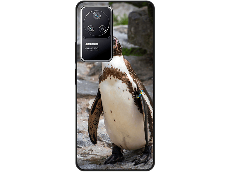 Pinguin KÖNIG Case, F4, Xiaomi, Poco Backcover, DESIGN