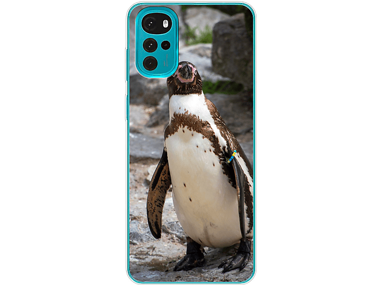 DESIGN Pinguin Backcover, Case, KÖNIG Moto G22, Motorola,