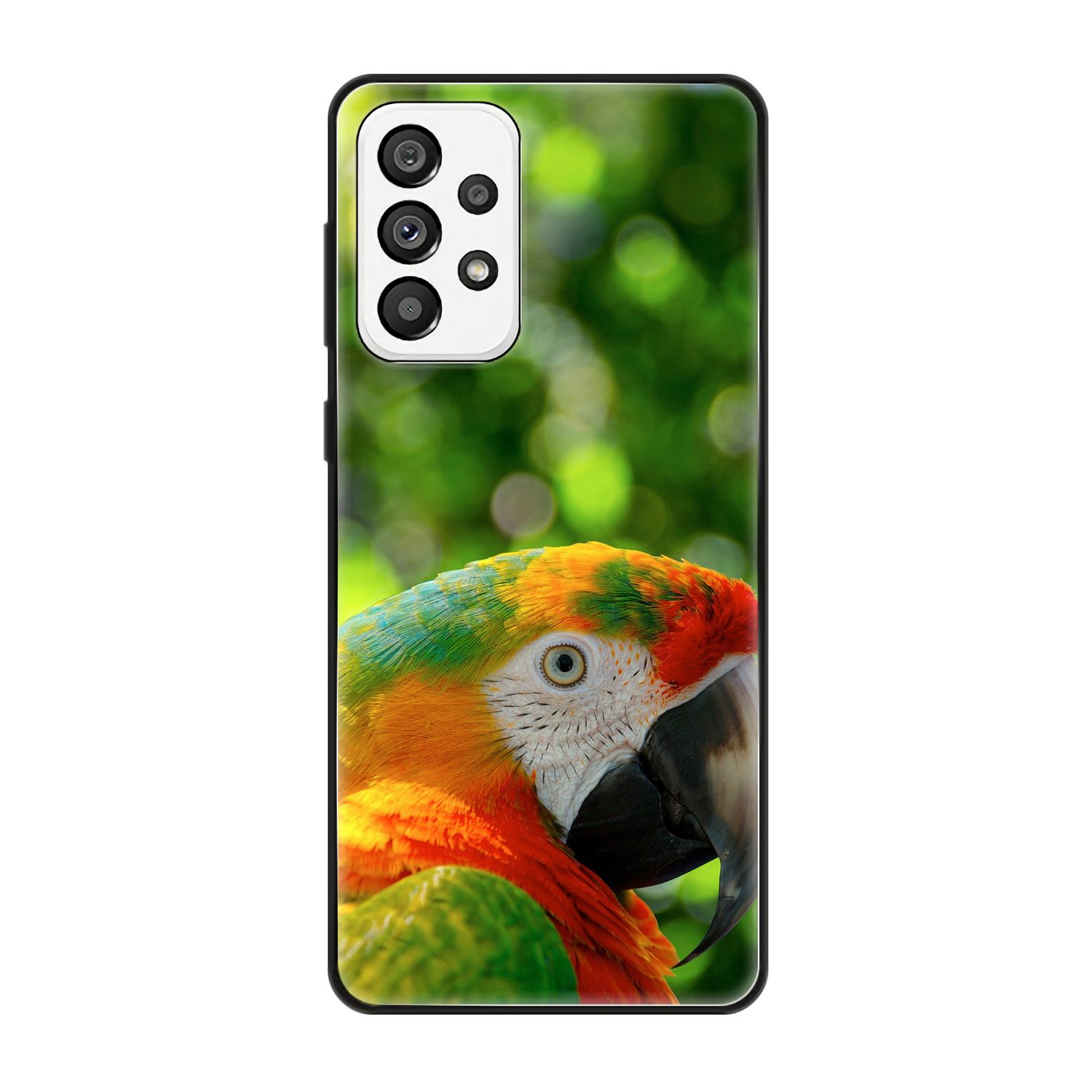 KÖNIG DESIGN Case, Backcover, Papagei Galaxy 5G, A73 Samsung