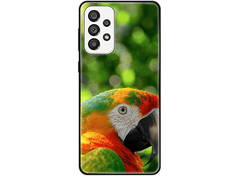 KÖNIG DESIGN Case, Backcover, Papagei Galaxy 5G, A73 Samsung