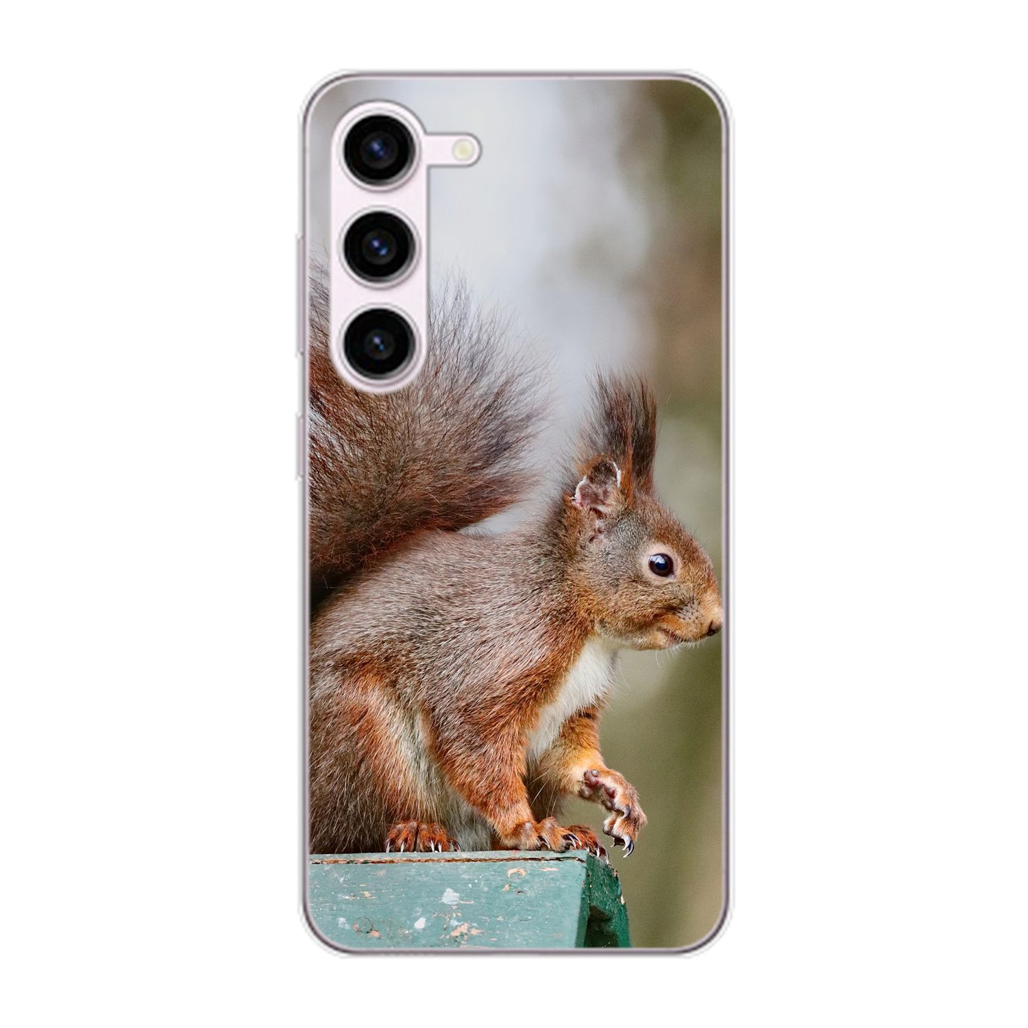 Galaxy Eichhörnchen KÖNIG Case, DESIGN Backcover, S23, Samsung,