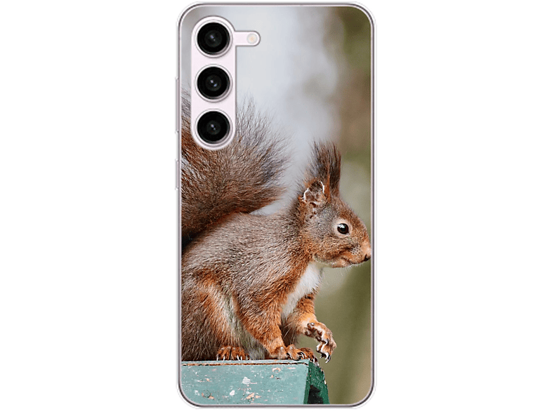 Galaxy DESIGN Backcover, Case, Samsung, S23, Eichhörnchen KÖNIG