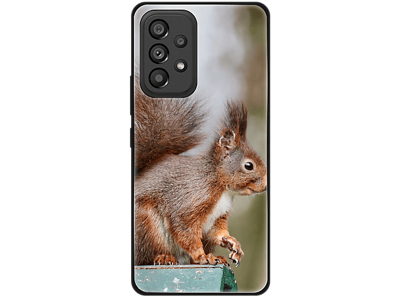 Eichhörnchen Backcover, 5G, KÖNIG A53 Samsung, DESIGN Case, Galaxy