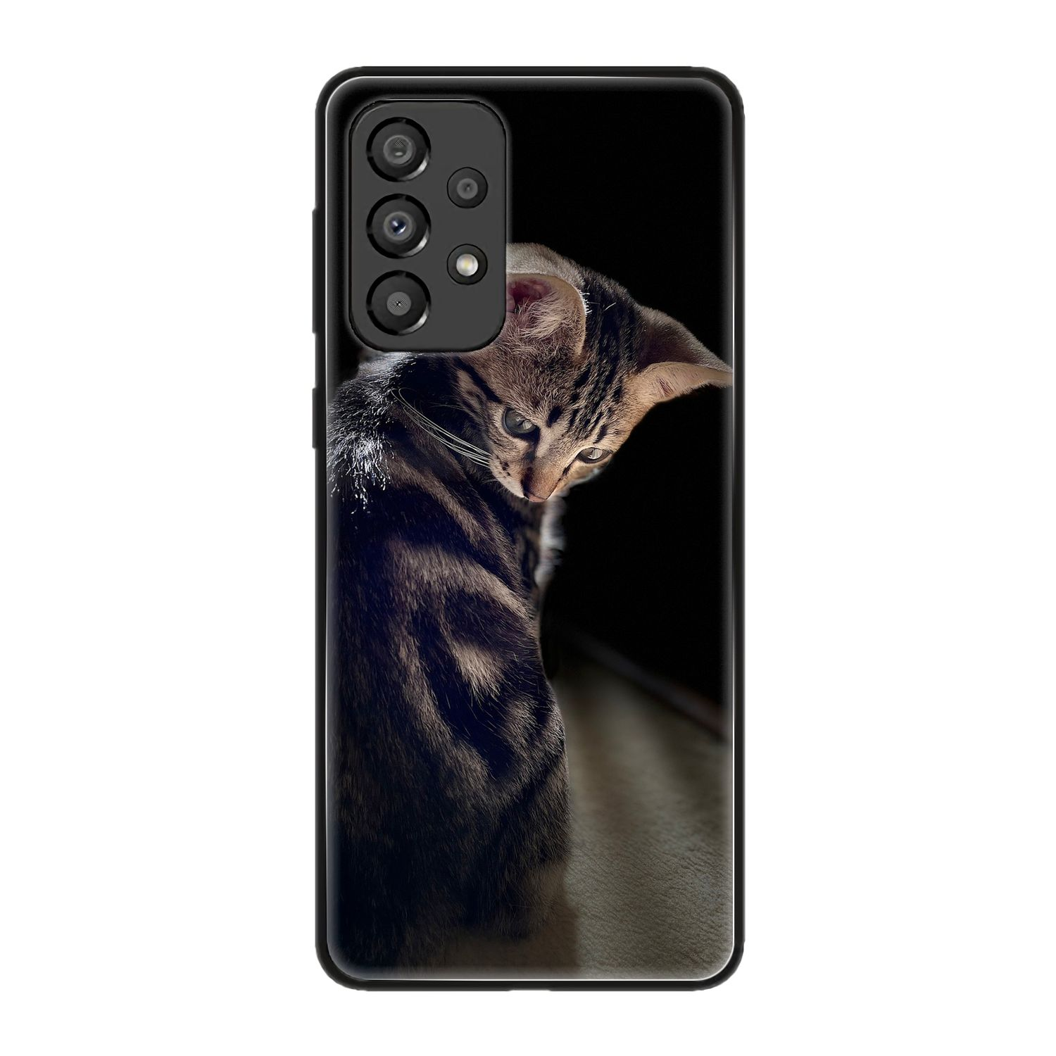 Ein Tabby-Kätzchen, das über seine Schulter schaut, mit dunklem Hintergrund.