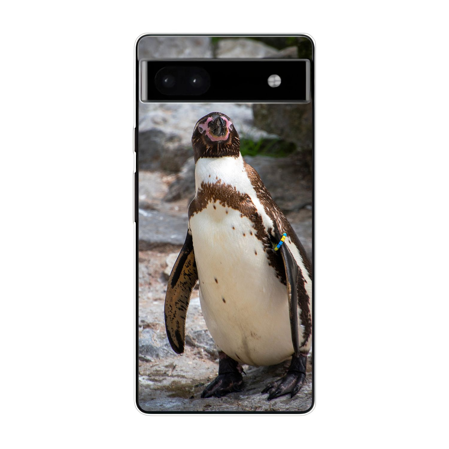 Backcover, Case, 6A, Pixel DESIGN Google, Pinguin KÖNIG