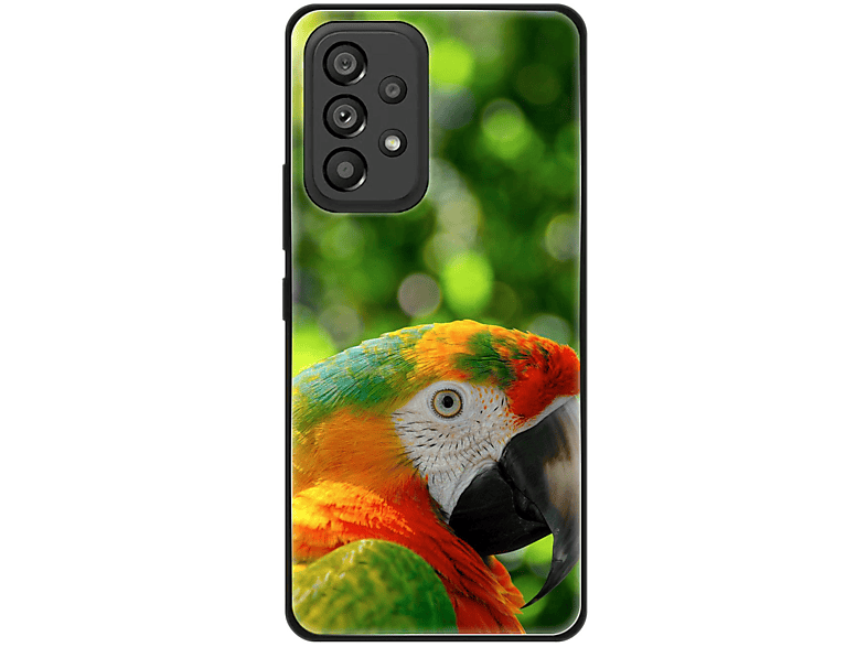 Backcover, A53 Case, Papagei DESIGN KÖNIG 5G, Samsung, Galaxy