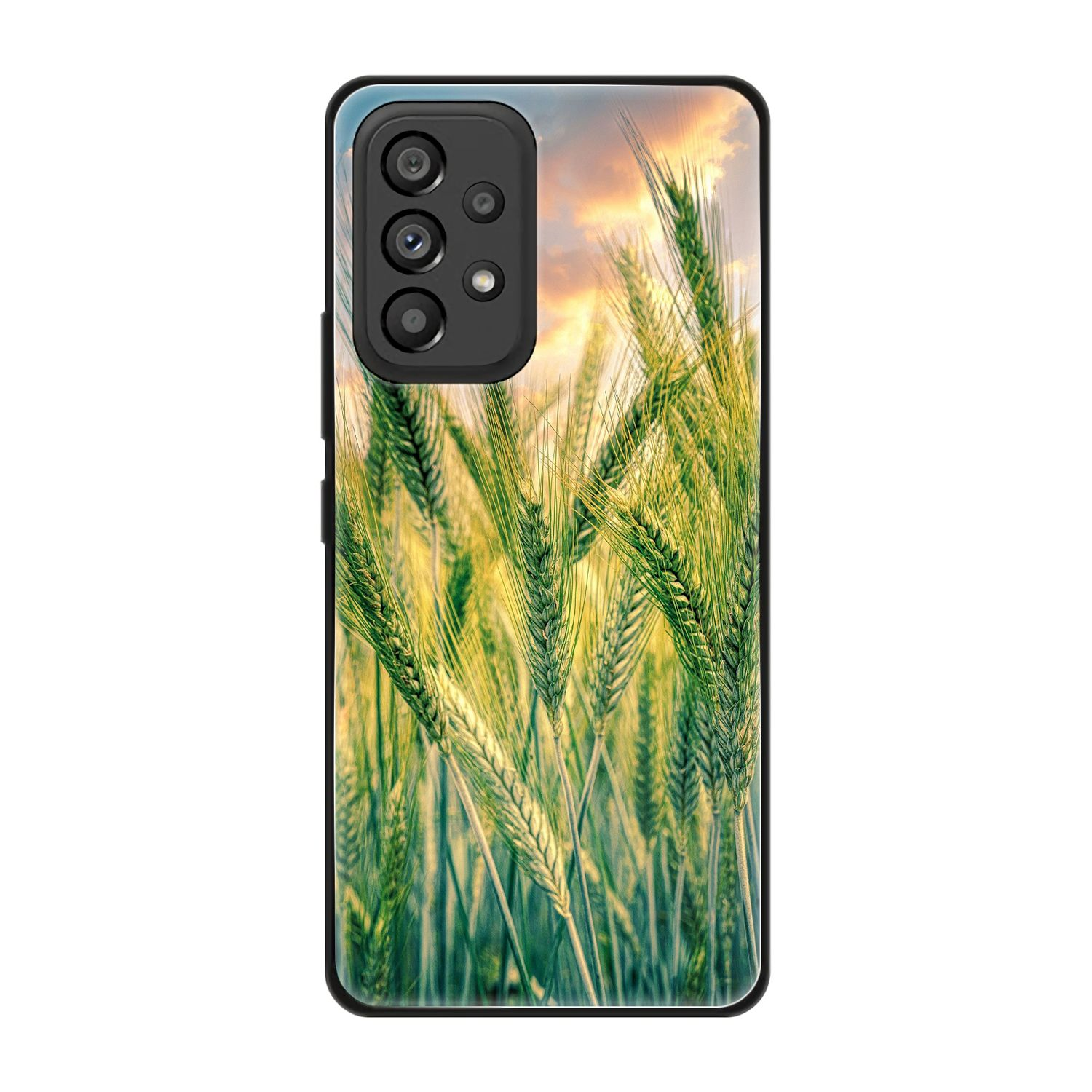 Backcover, Galaxy A53 Case, DESIGN 5G, Kornfeld KÖNIG Samsung,