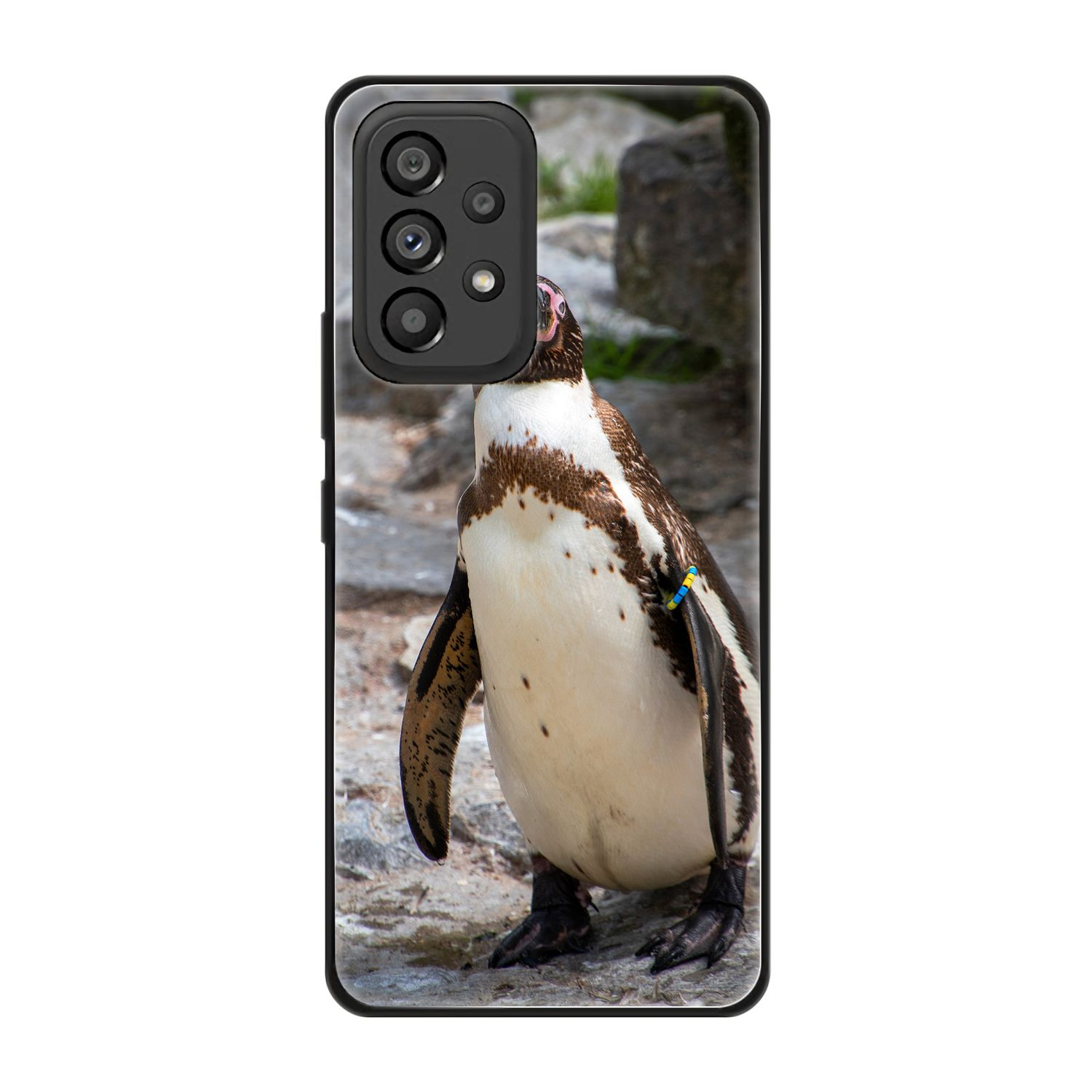 KÖNIG DESIGN Case, Pinguin Backcover, A53 Galaxy Samsung, 5G