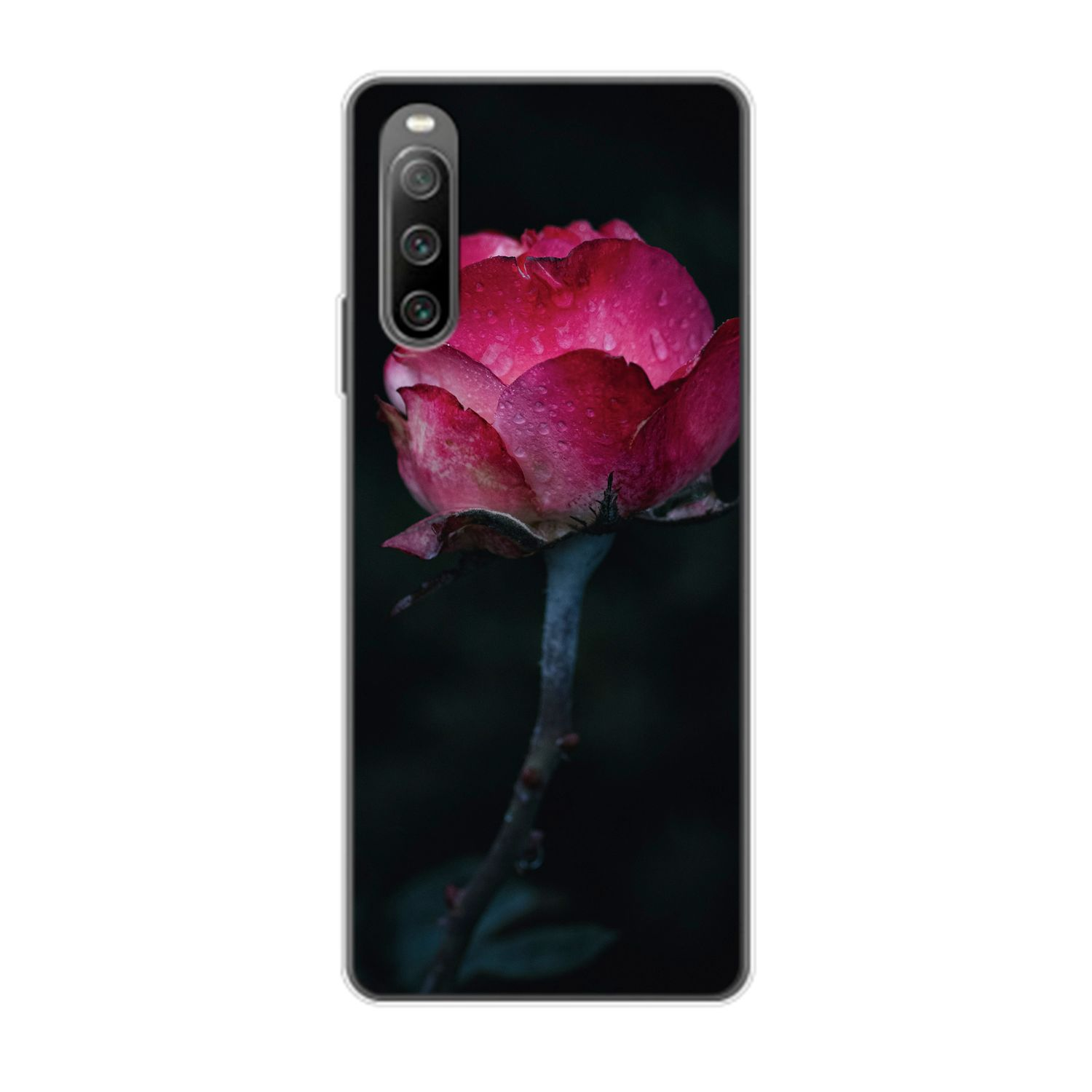 Xperia IV, 10 Sony, Rose Backcover, KÖNIG DESIGN Case,