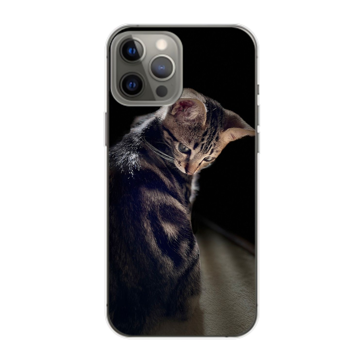 KÖNIG Case, Backcover, Junge Katze Max, DESIGN iPhone Apple, 14 Pro