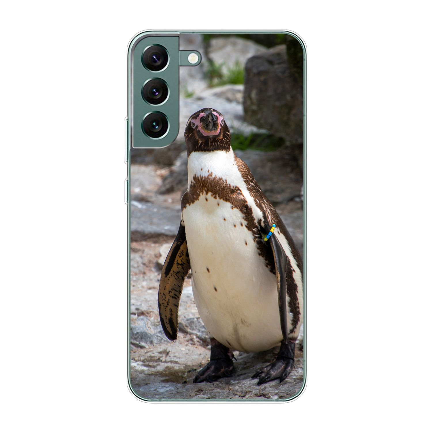 Pinguin KÖNIG Samsung, DESIGN Plus 5G, S22 Backcover, Galaxy Case,