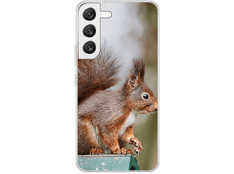 Aufstiegschance KÖNIG DESIGN Galaxy Case, S22 Samsung, 5G, Eichhörnchen Backcover