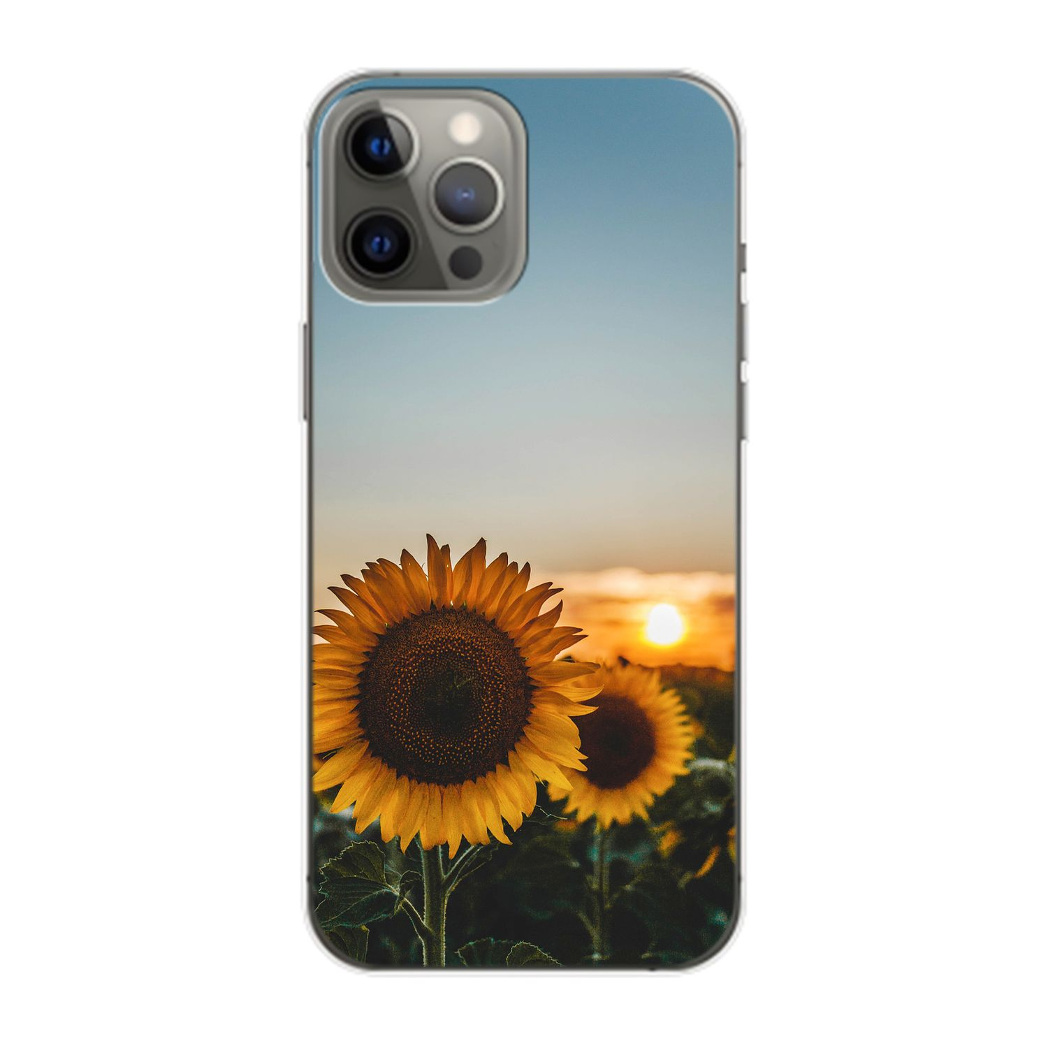 KÖNIG DESIGN Case, Backcover, Apple, Sonnenblumen Pro Max, 14 iPhone