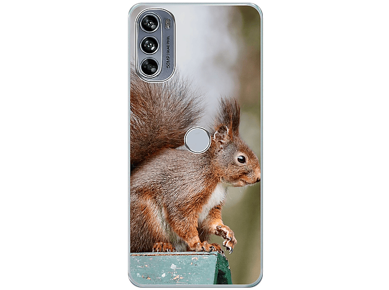 KÖNIG DESIGN Edge 30 Eichhörnchen Case, Backcover, Motorola, Pro, Moto