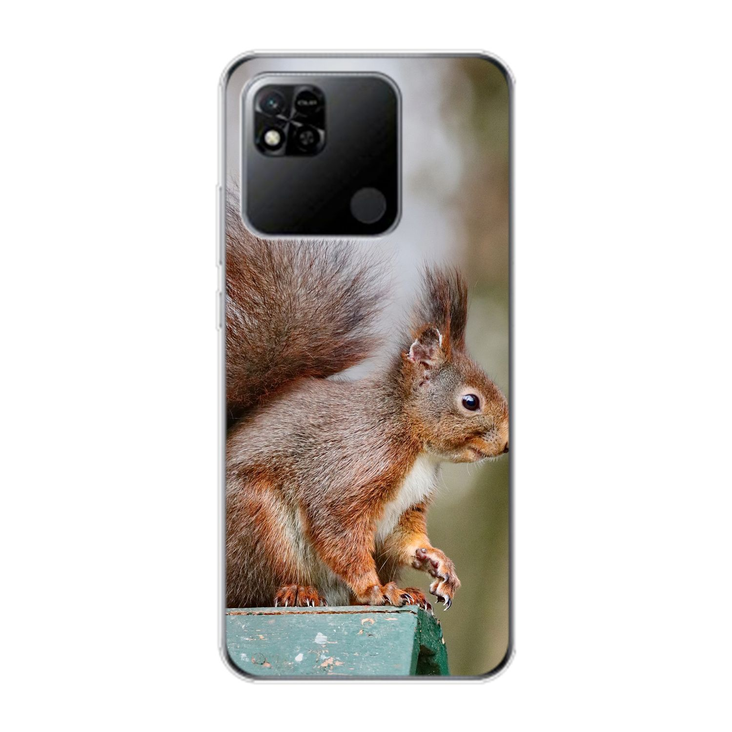 Eichhörnchen Backcover, DESIGN Redmi Xiaomi, KÖNIG Case, 10A,