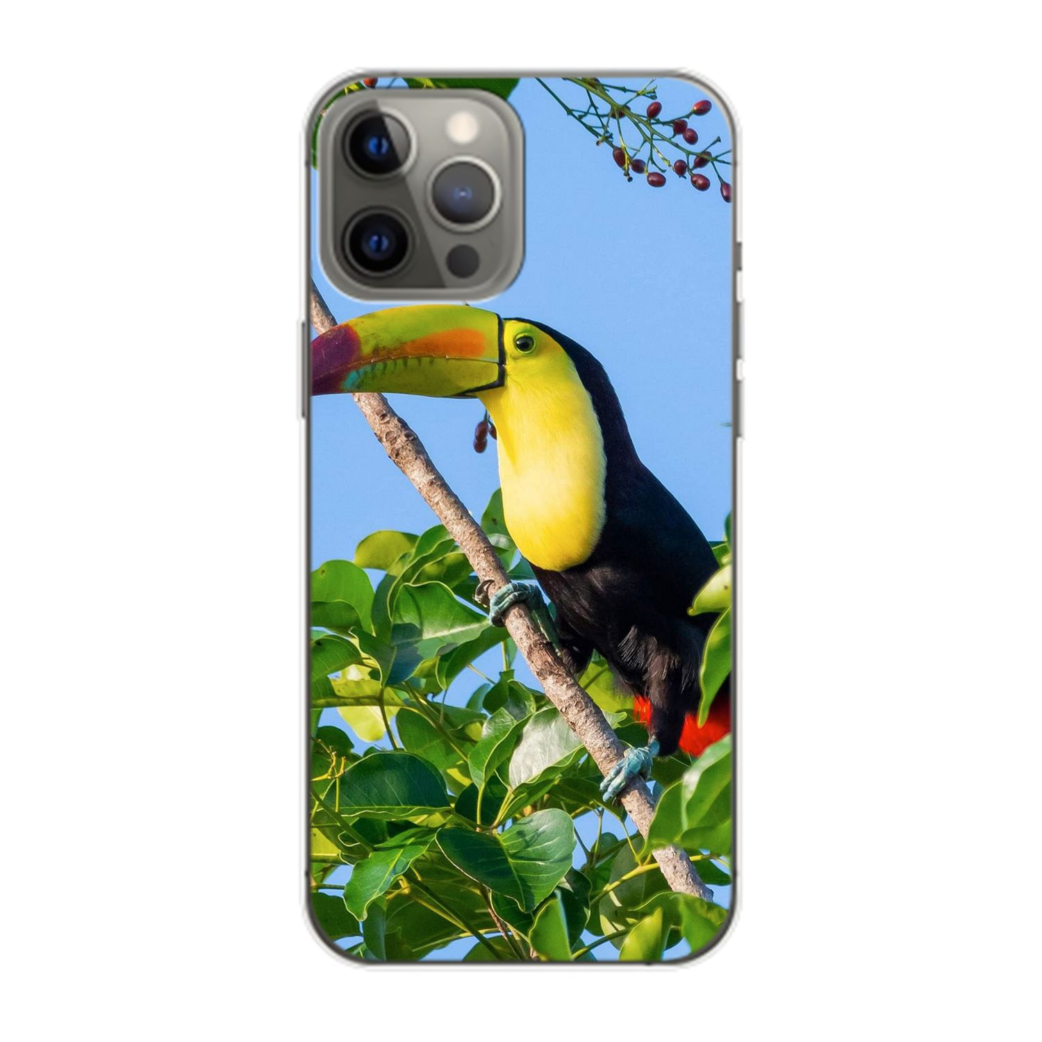 KÖNIG DESIGN Apple, 14 Pro iPhone Tucan Backcover, Case, Max