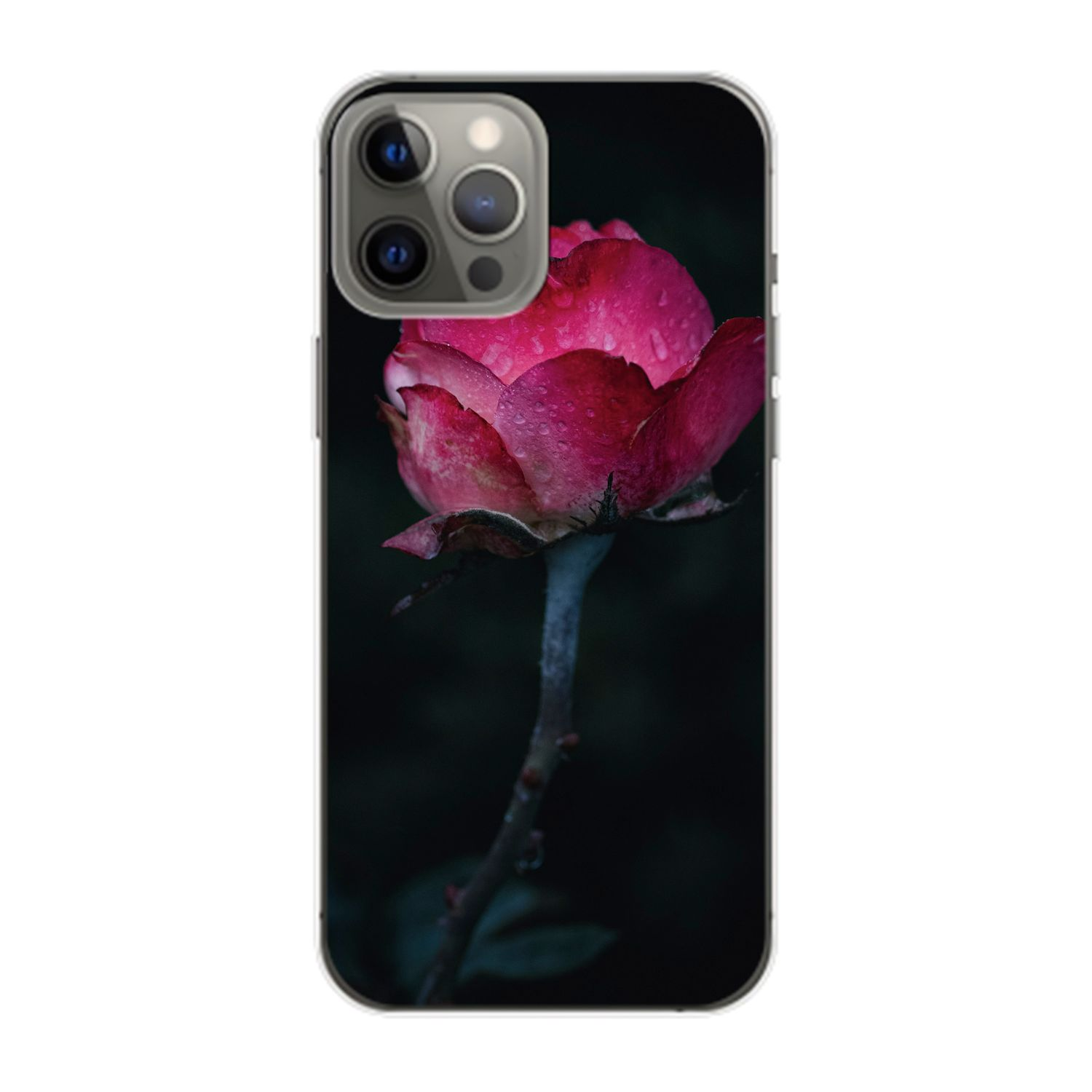 Backcover, iPhone Pro Max, Case, Rose KÖNIG Apple, 14 DESIGN