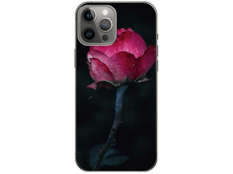 KÖNIG DESIGN Case, Backcover, Rose Max, Pro iPhone Apple, 14