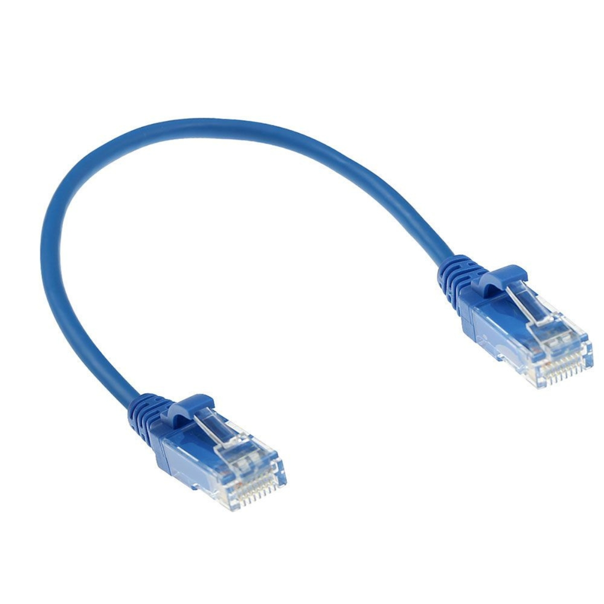 Niebieski kabel Ethernet z przezroczystymi złączami na białym tle.