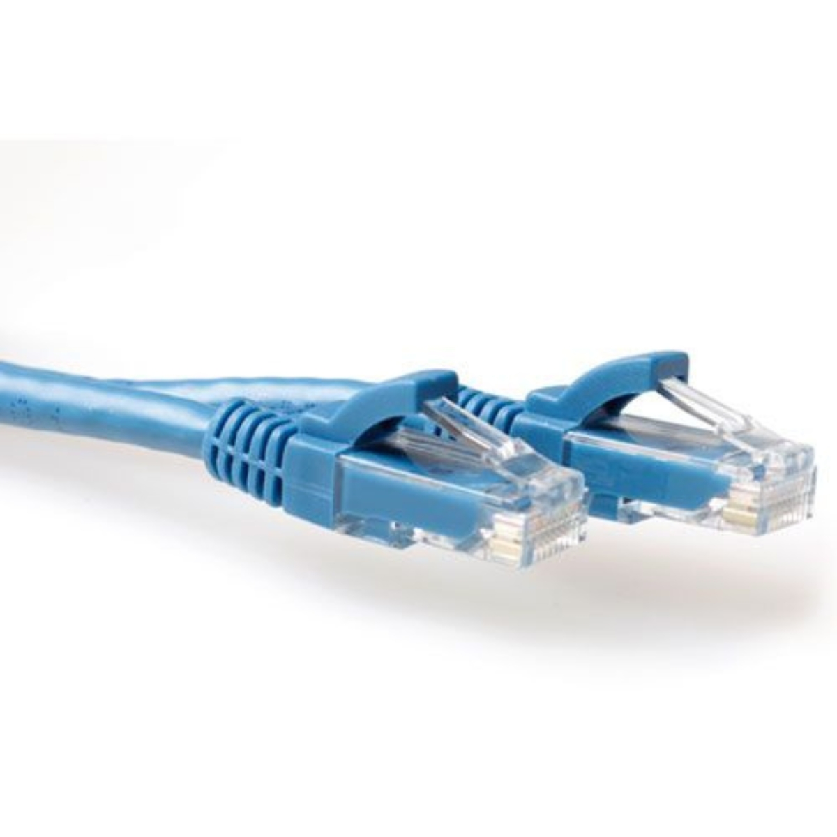 Câble Ethernet bleu avec connecteurs sur fond blanc. Deux connecteurs en focus.