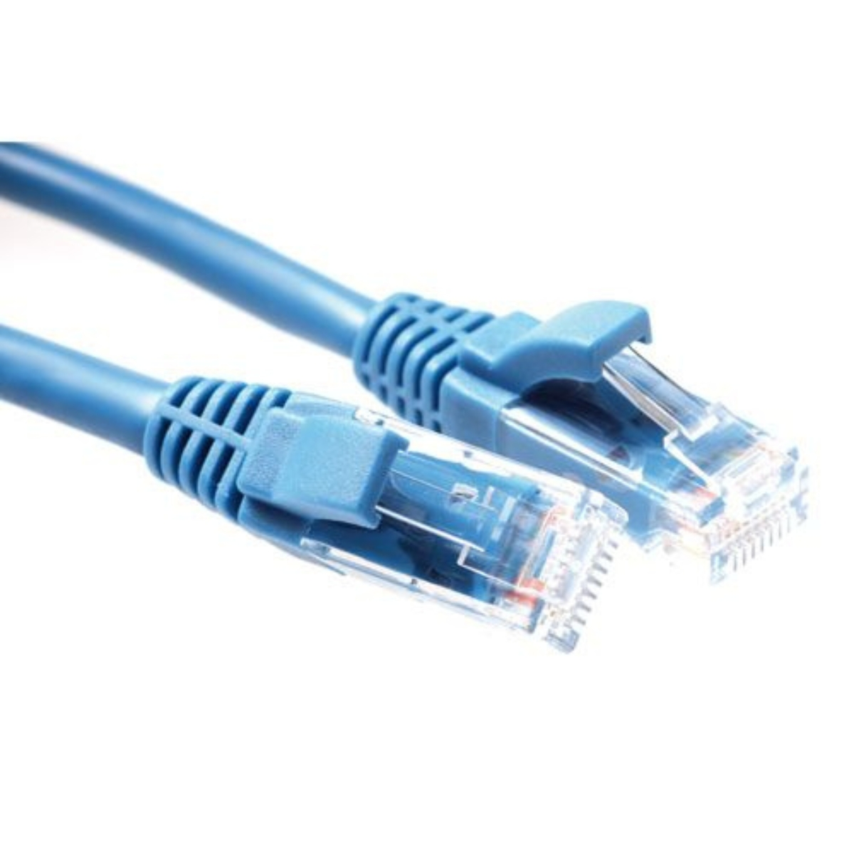 Zwei blaue Ethernet-Kabel mit Steckern vor weißem Hintergrund.