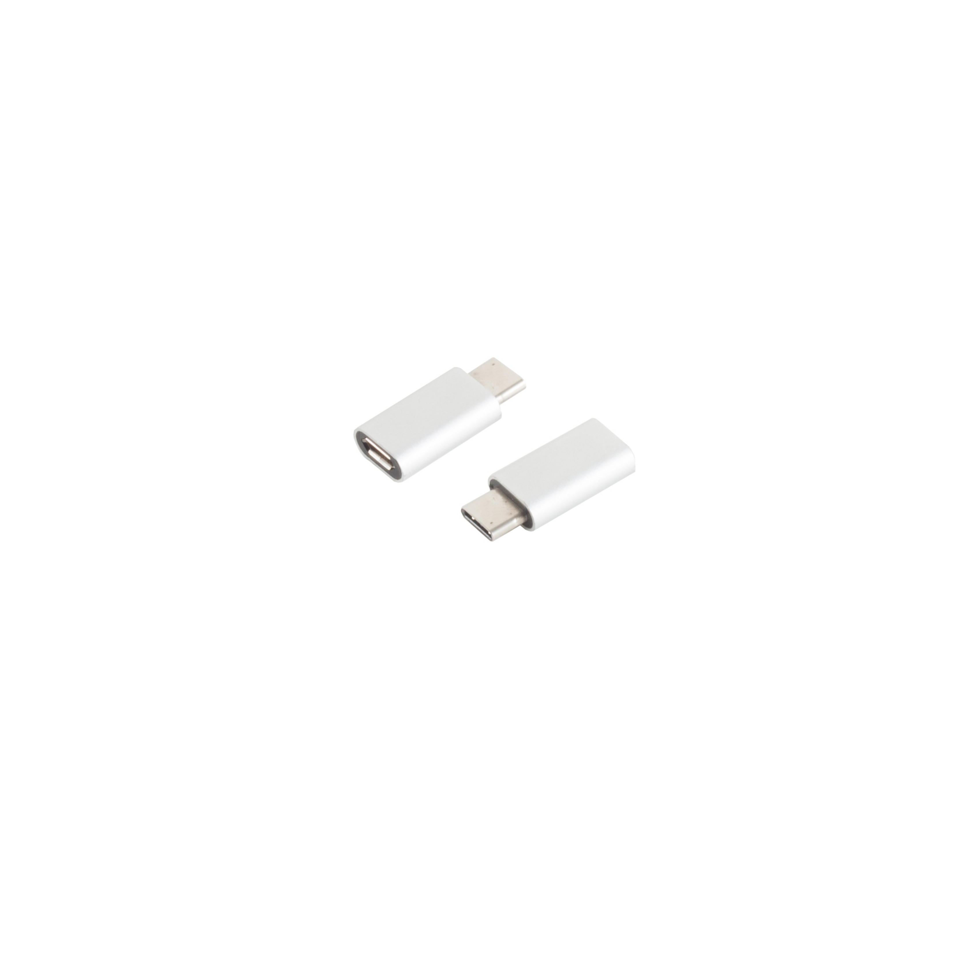 Zwei silberne USB-C-Adapter auf weißem Hintergrund.