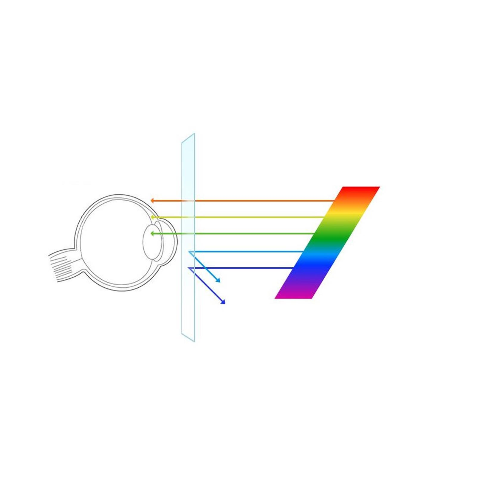 Diagramm des Auges mit Lichtstrahlen und einem Regenbogenspektrum. Weißer Hintergrund.