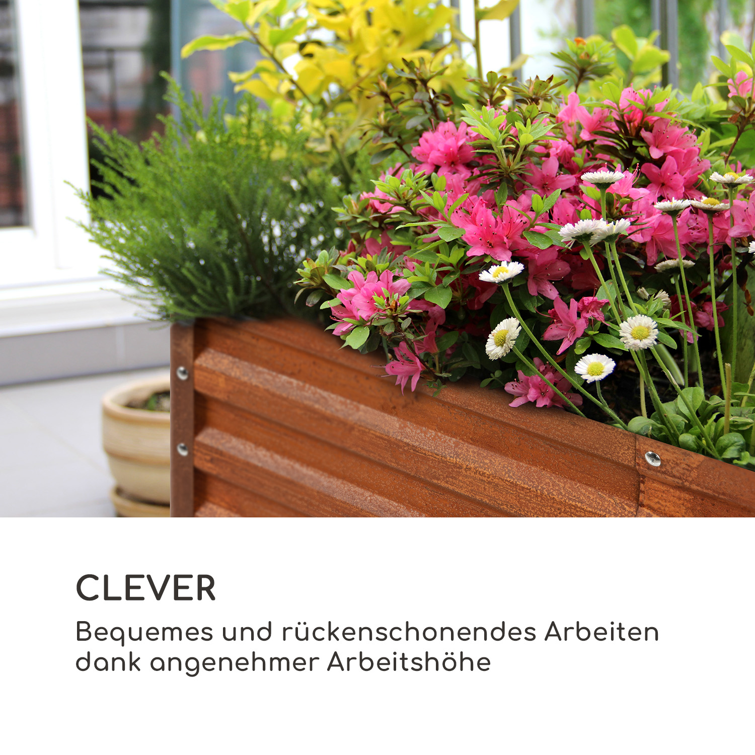 Ein Holzkasten mit Blumen und Pflanzen, auf weißem Hintergrund.
