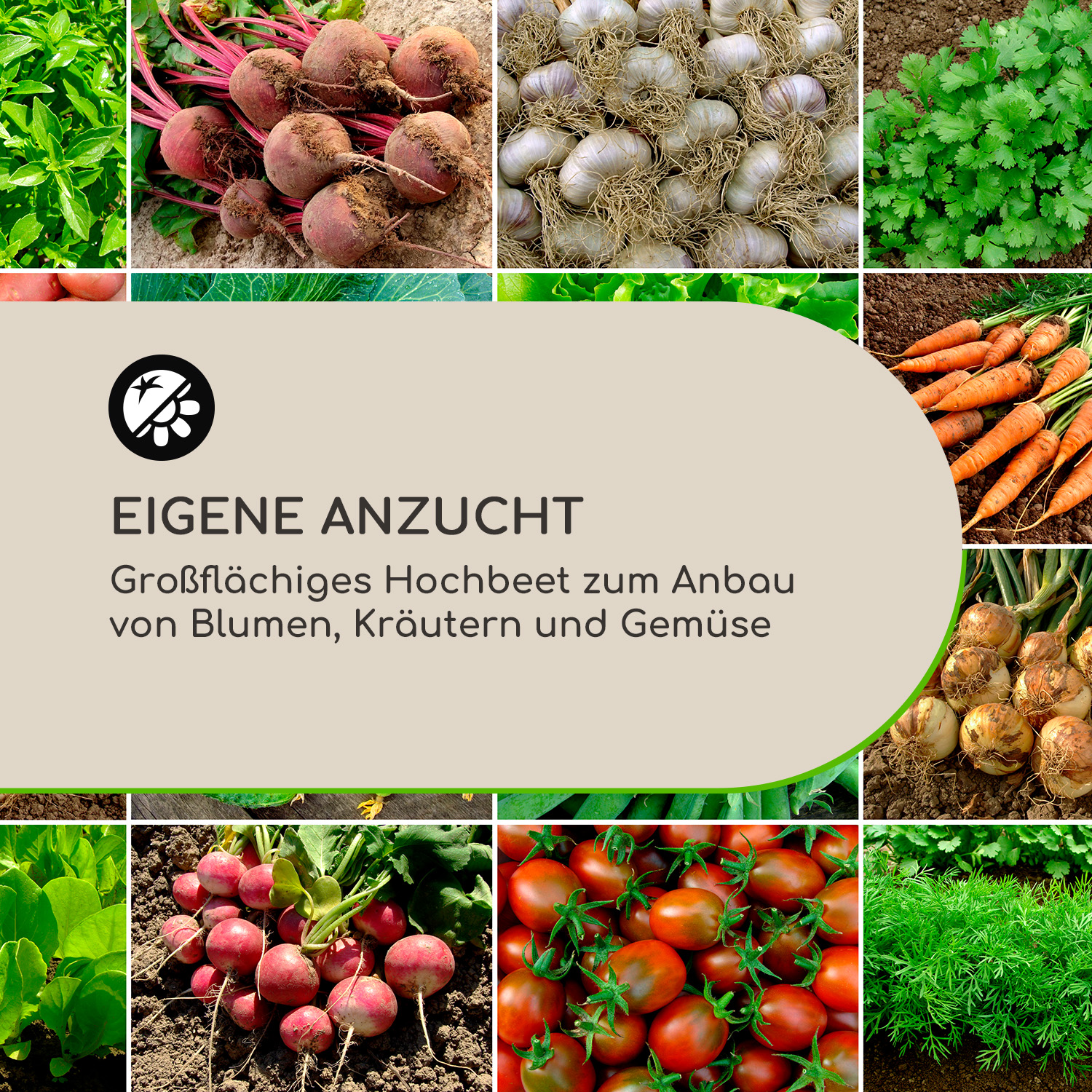Nahaufnahme von Gemüse, darunter Rüben, Knoblauch und Tomaten, mit Text.