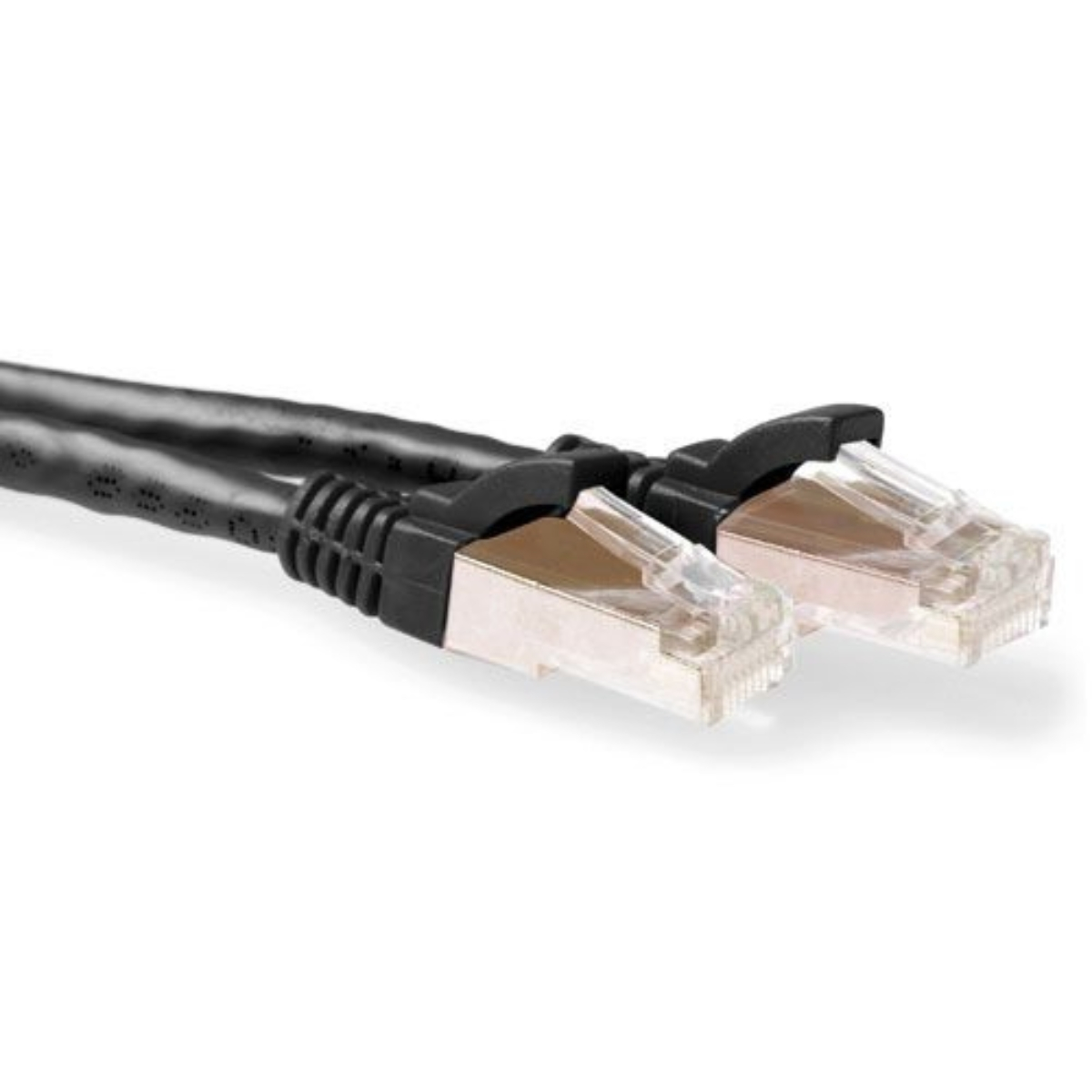 Câble Ethernet noir avec deux connecteurs, en angle sur fond blanc.