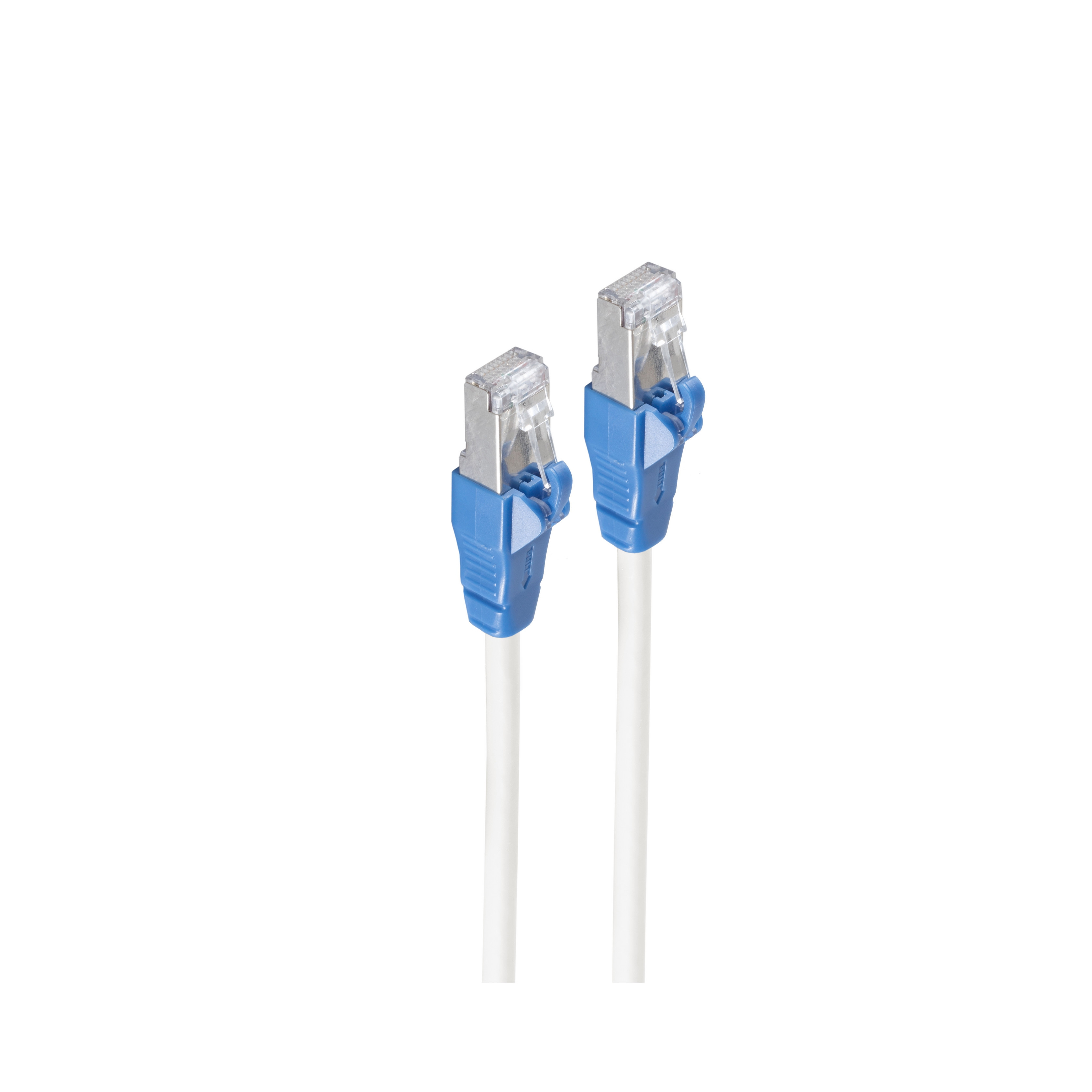 Due cavi Ethernet bianchi con connettori blu su sfondo bianco.