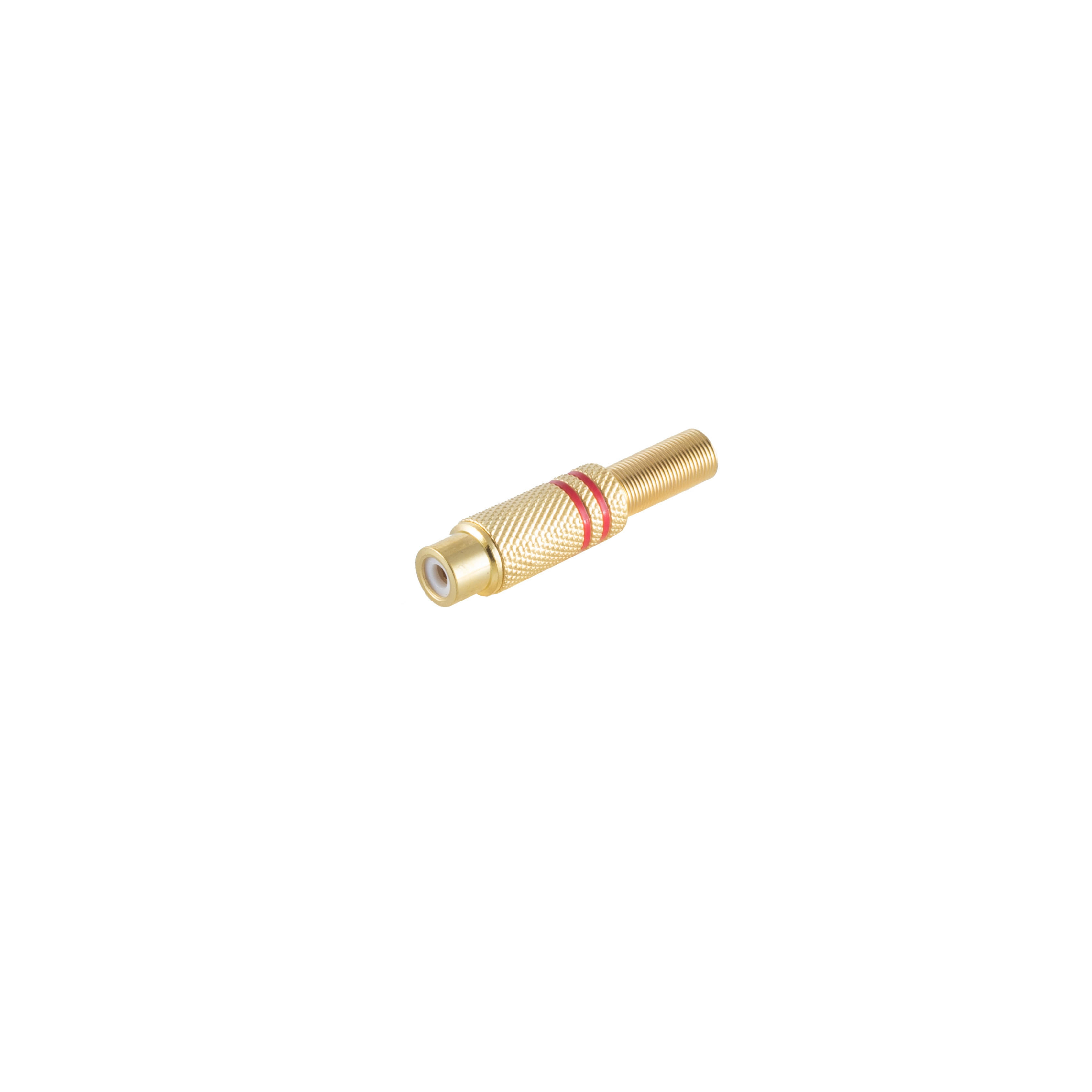 Goldener Cinch-Adapter. Roter Streifen. Weißer Hintergrund.