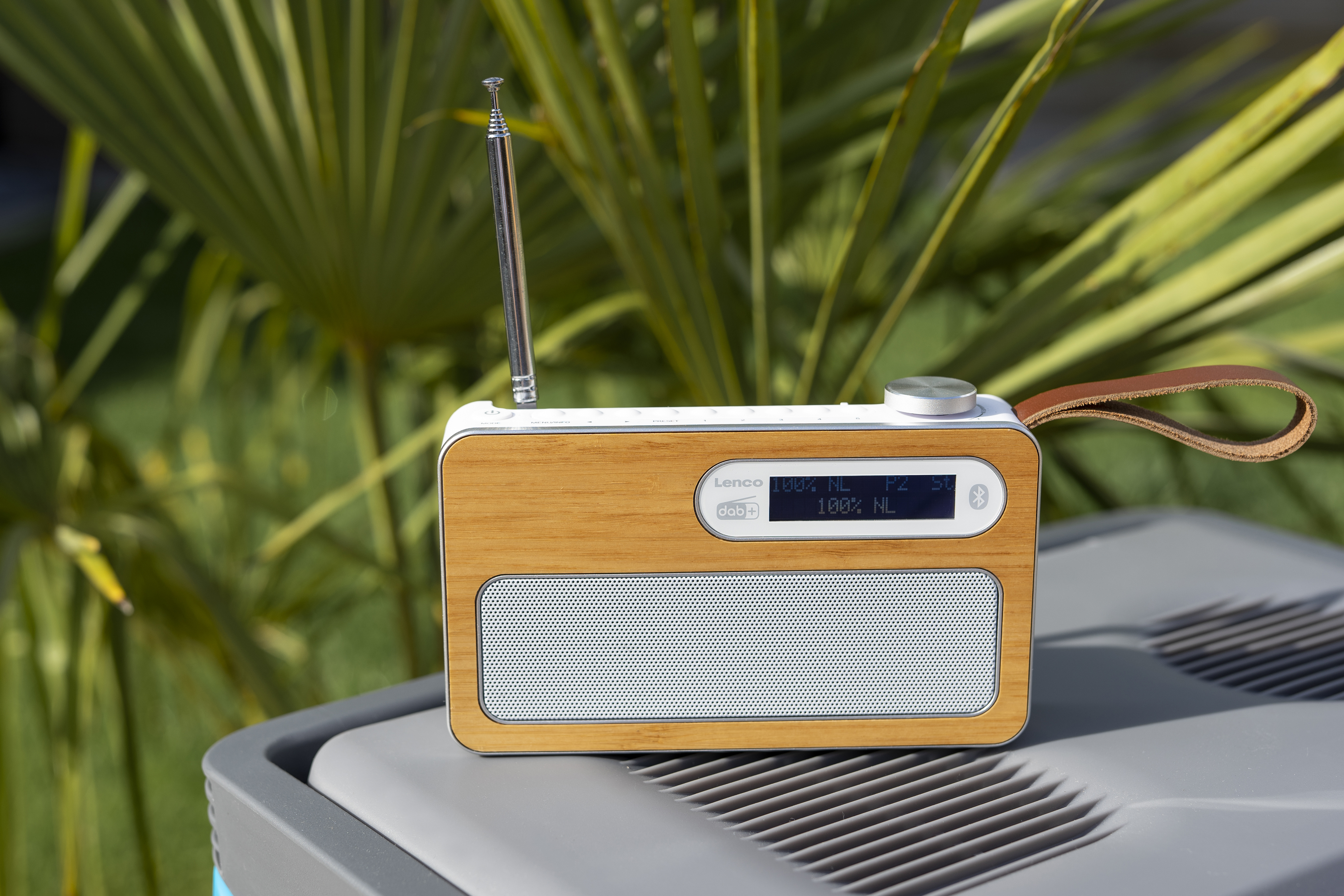 Ein Holzradio. Braunes Holz, weißer Lautsprecher, silberne Bedienelemente und ein Griff. Grüner Hintergrund.