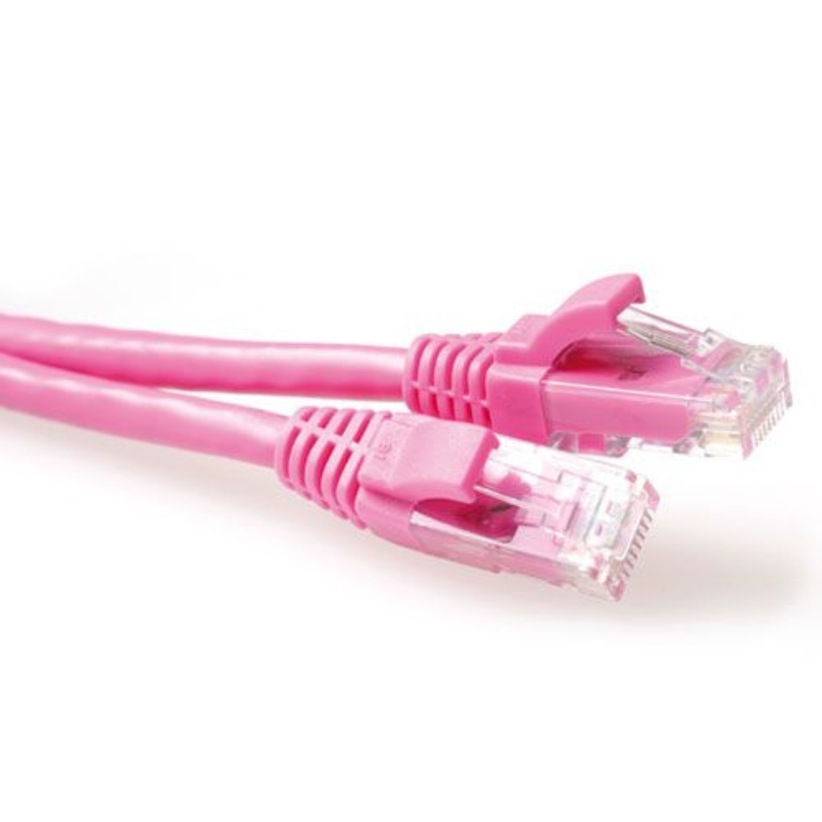 Rosa Netzwerkkabel mit zwei Steckern. Stecker haben durchsichtigen Kunststoff und rosa Laschen.