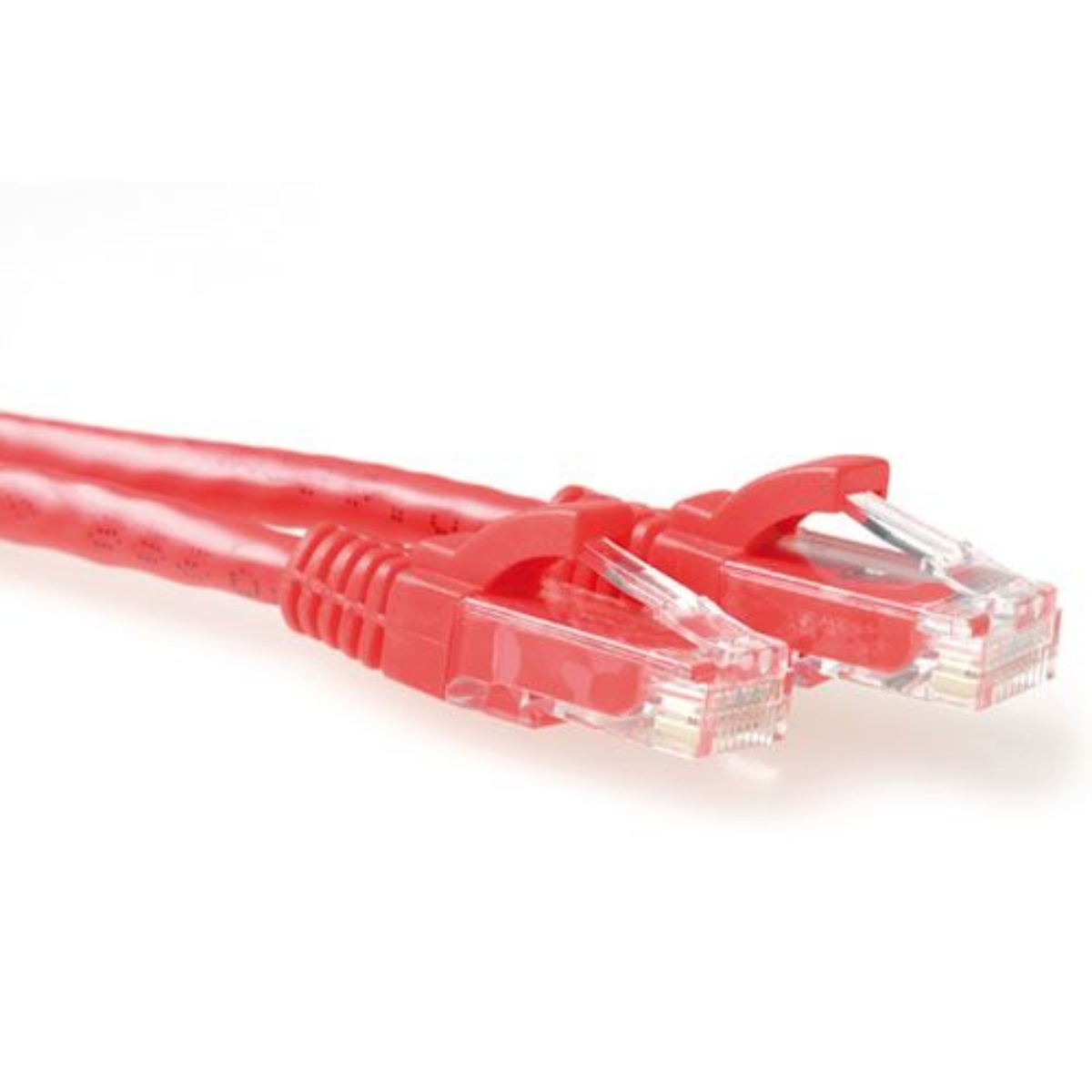 Zwei rote Netzwerkkabel mit transparenten Steckern, auf weißem Grund.