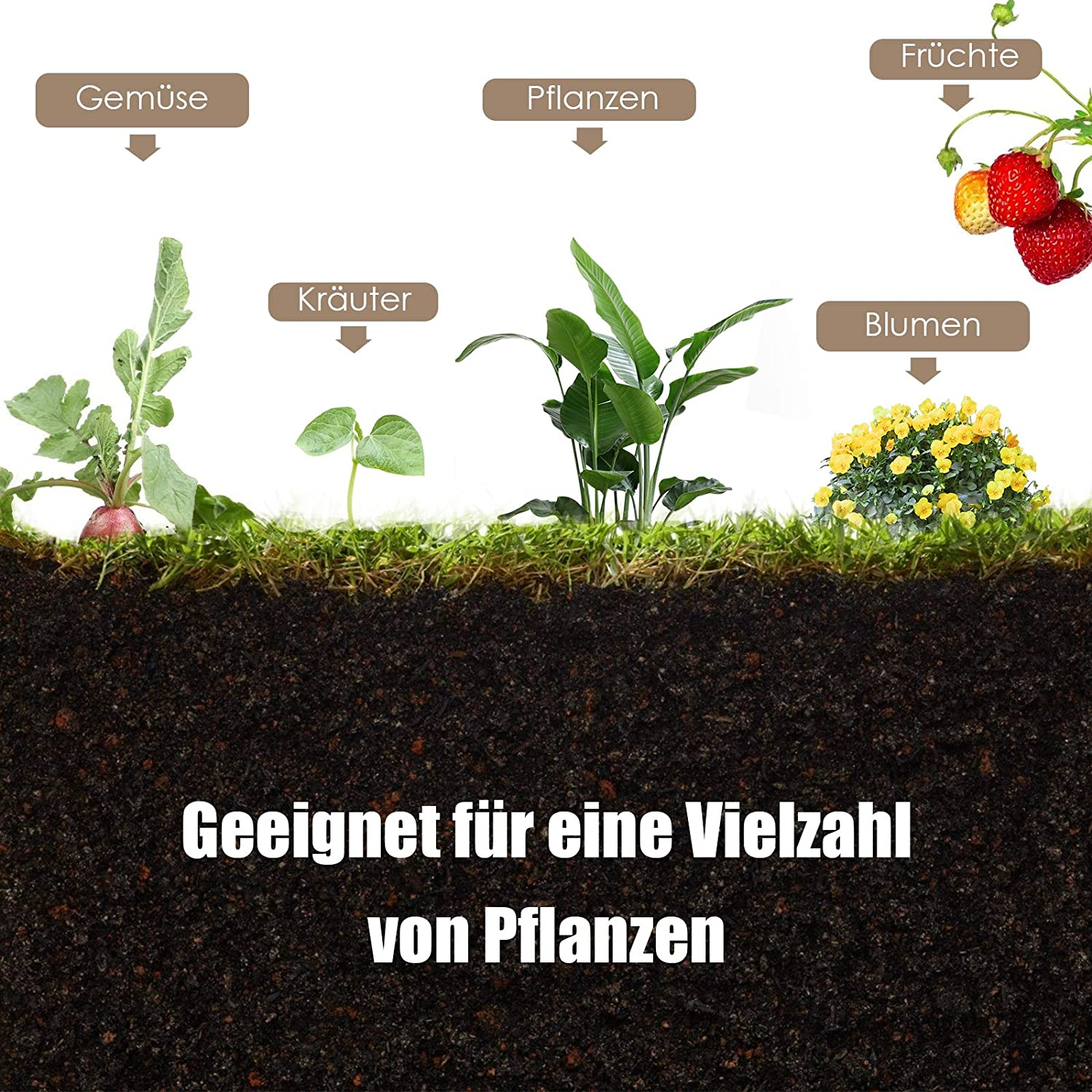 Das Bild zeigt verschiedene Pflanzen, die als Gemüse, Kräuter, Pflanzen, Blumen und Früchte bezeichnet werden, über Erde.