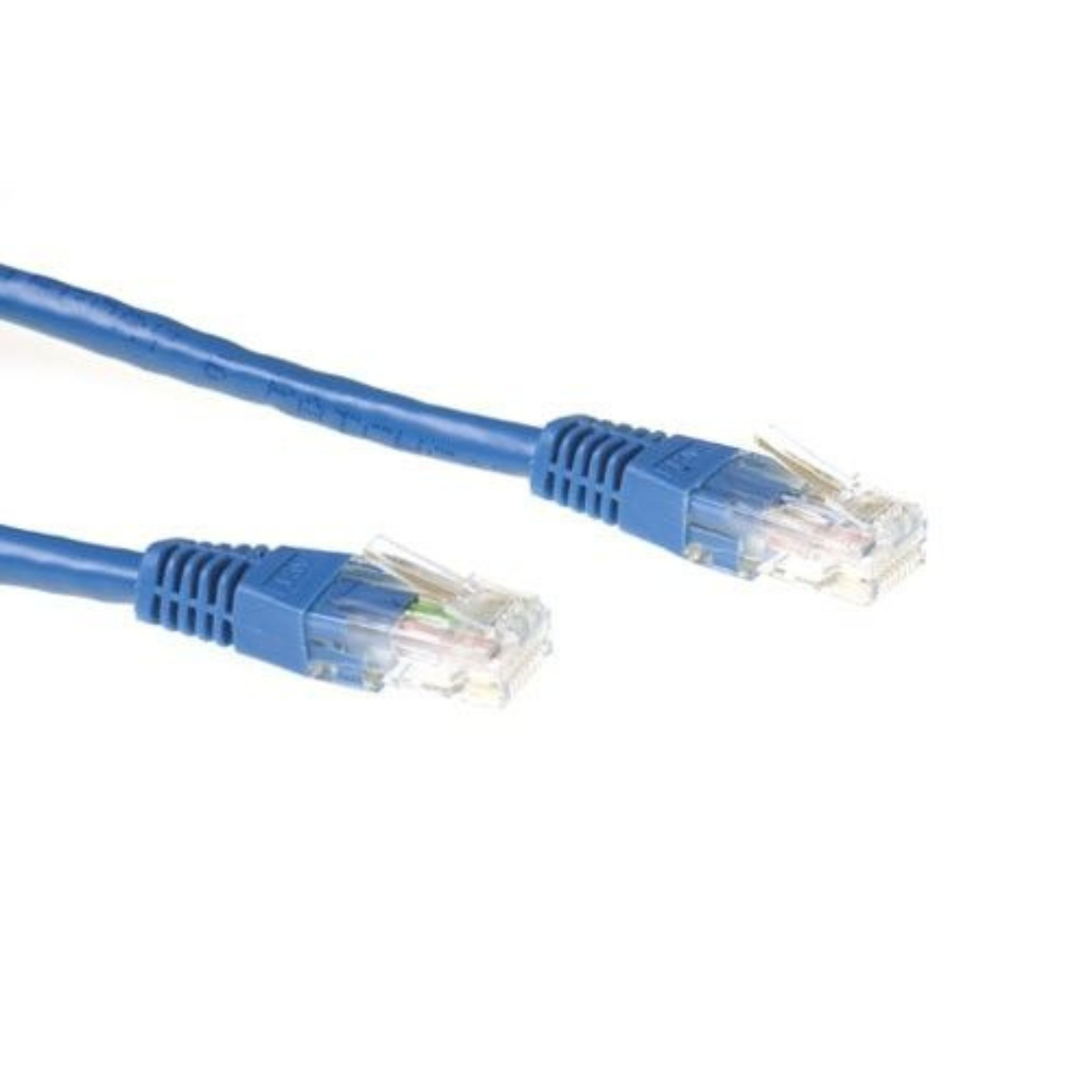 Cavo Ethernet blu con connettori su sfondo bianco.