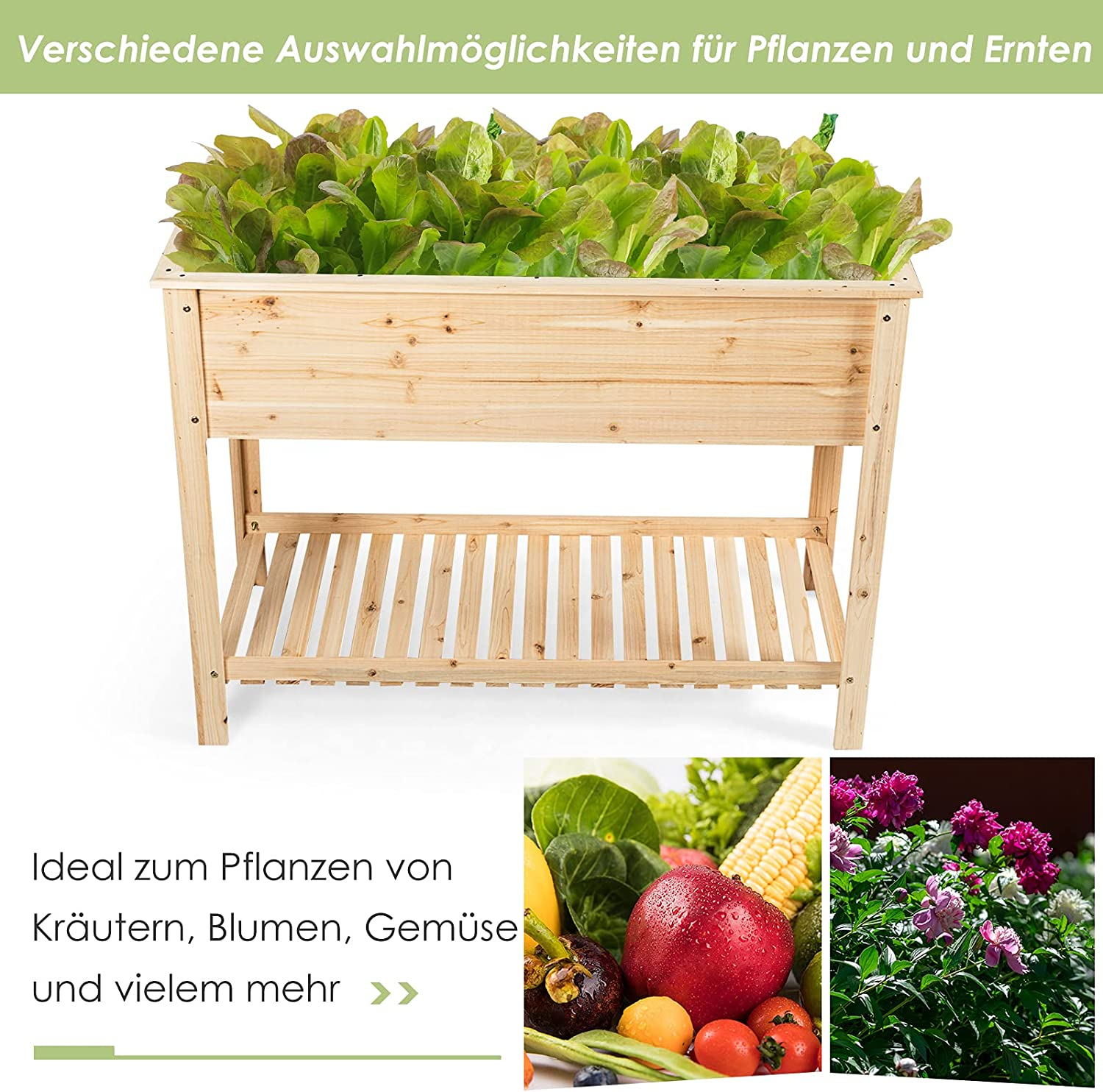 Erhöhtes Gartenbeet aus Holz mit Pflanzen. Enthält Nahaufnahmen von Gemüse und Blumen, die das Pflanzen fördern.