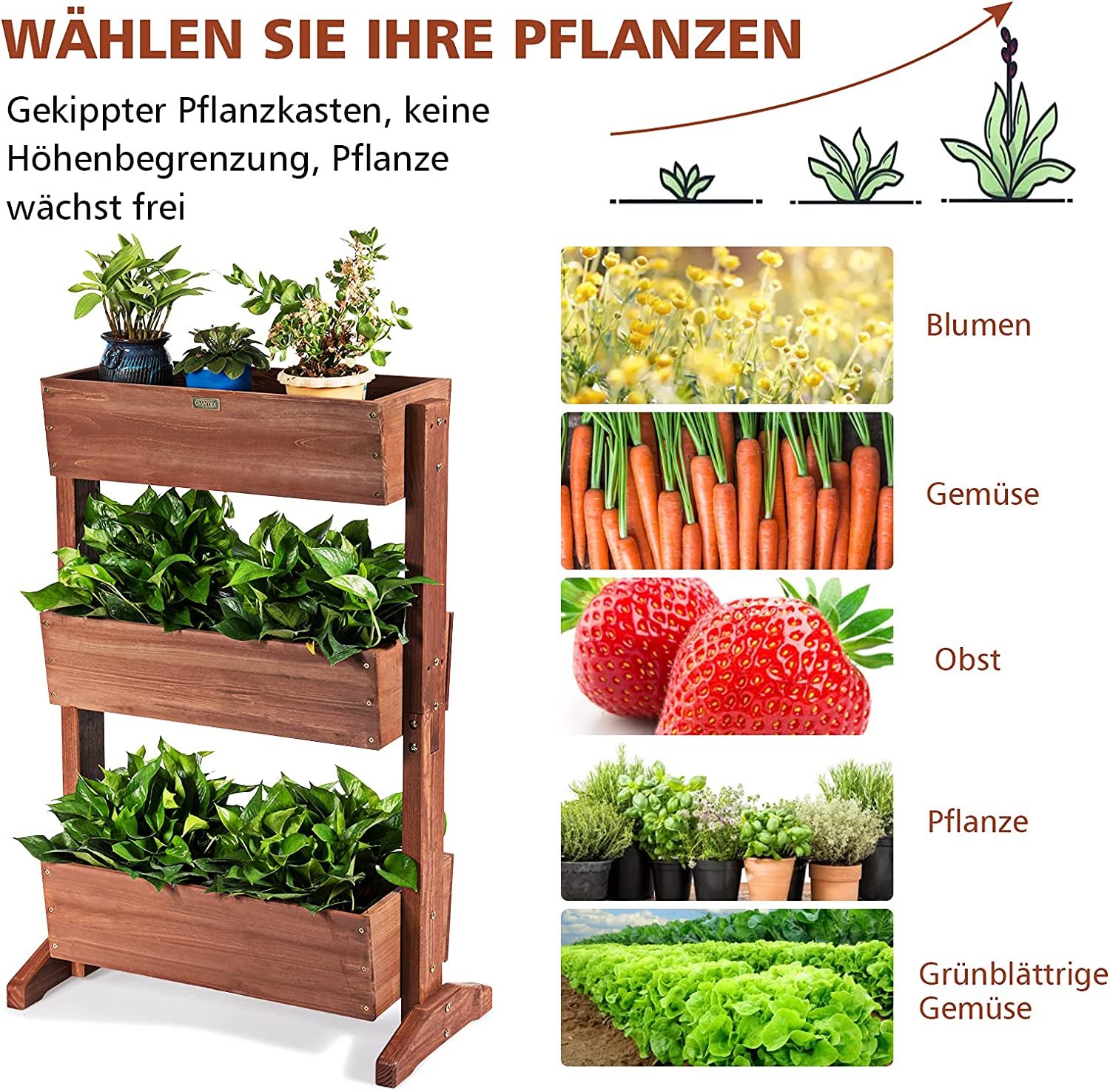 Ein hölzerner, mehrstöckiger Pflanzkübel mit Pflanzen und Gemüse. Bilder von Blumen, Karotten, Erdbeeren und Salat werden gezeigt.