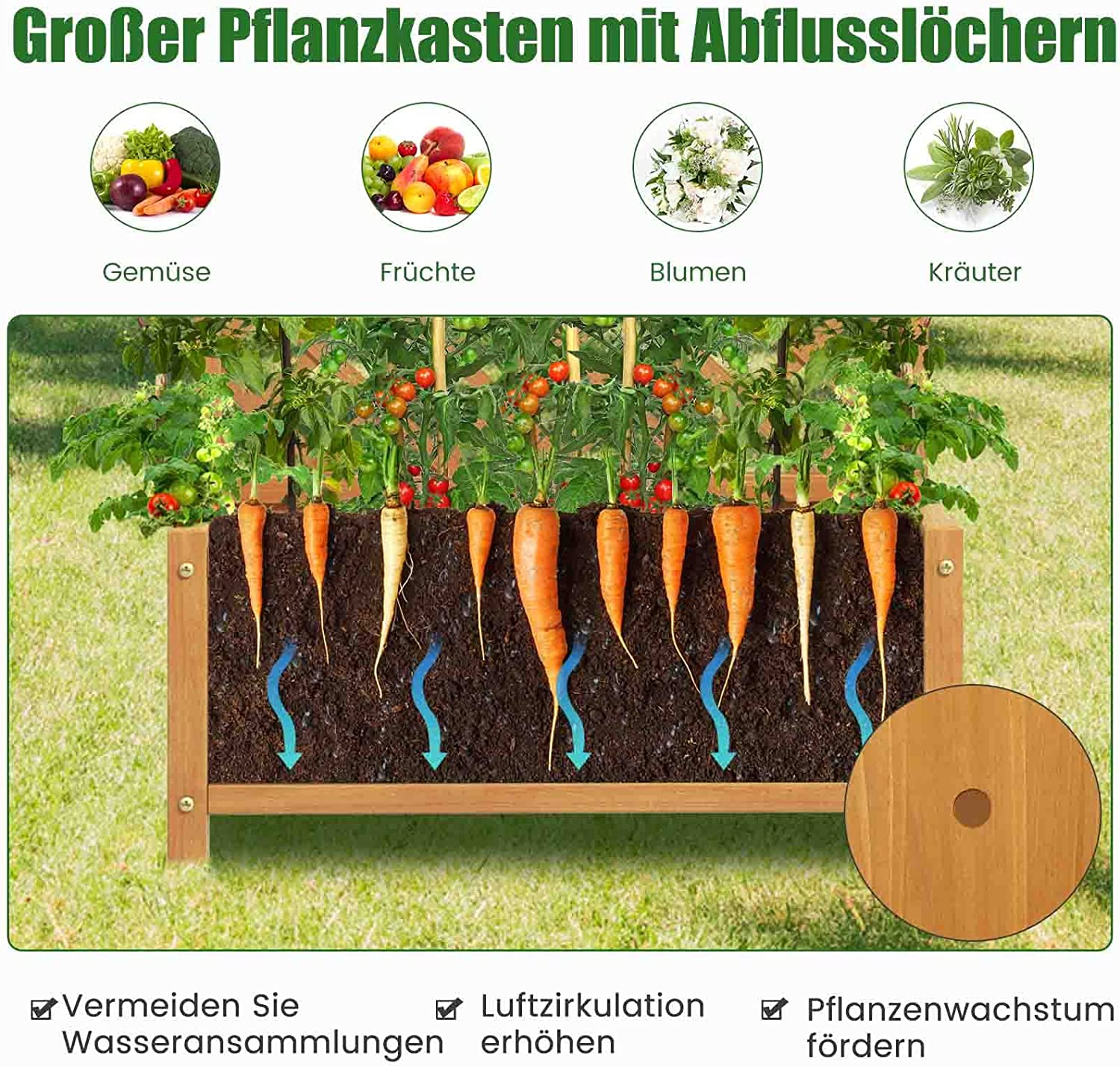 Holzpflanzkasten mit Karotten, Gemüse und Textbeschreibung.