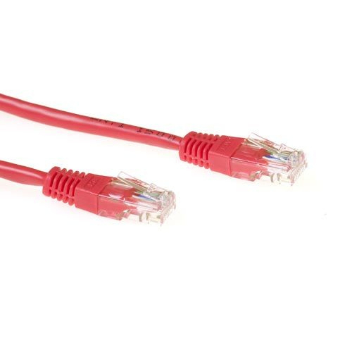 Un cavo Ethernet rosso con connettori, su sfondo bianco.