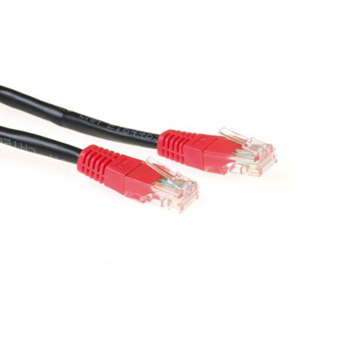 Câble réseau noir avec connecteurs rouges. Fond blanc.