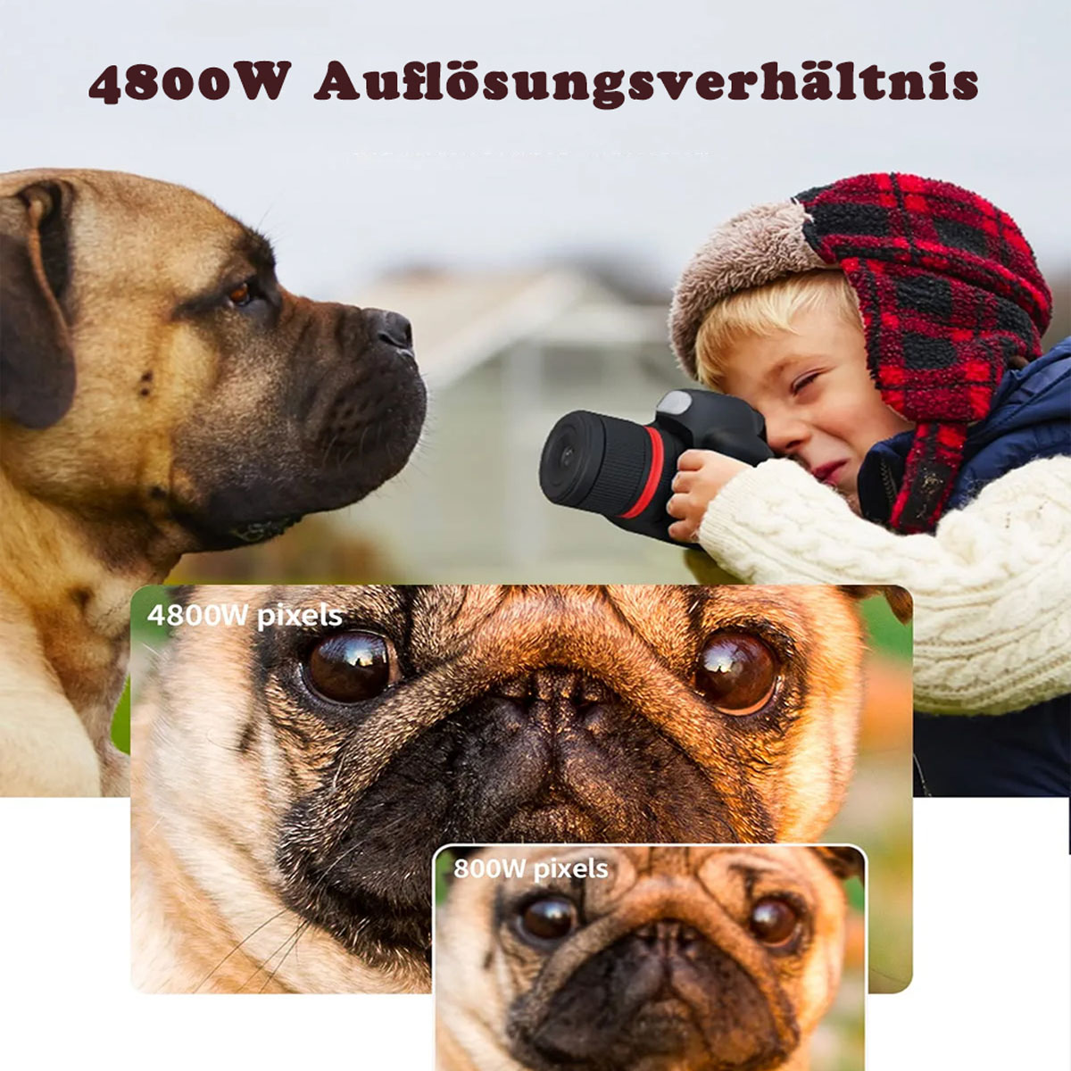 Ein Kind fotografiert einen Hund mit einer Kamera. Das Bild zeigt Pixel und Auflösung.