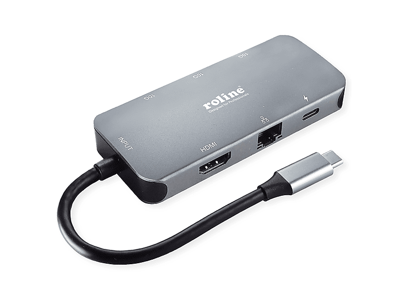 ROLINE USB 3.2 Gen 2 Typ C Multiport Dockingstation, 4K HDMI, LAN Dockingstation, grau