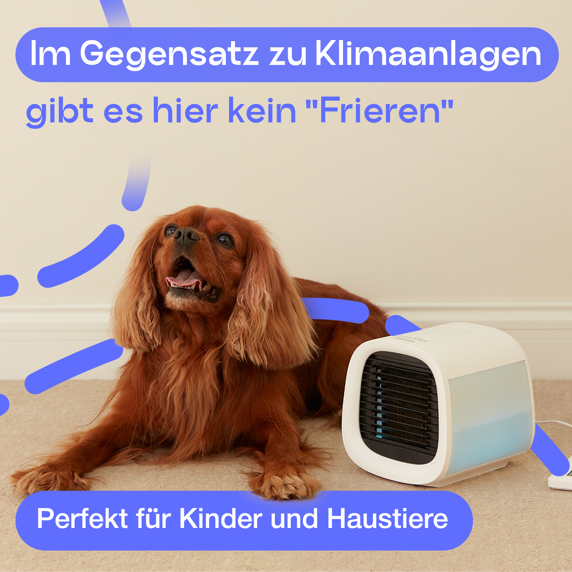 Hund und kleiner weißer Luftkühler. Text auf Deutsch. Blaue Akzente. Hellgrauer Teppich, weißer Wandhintergrund.