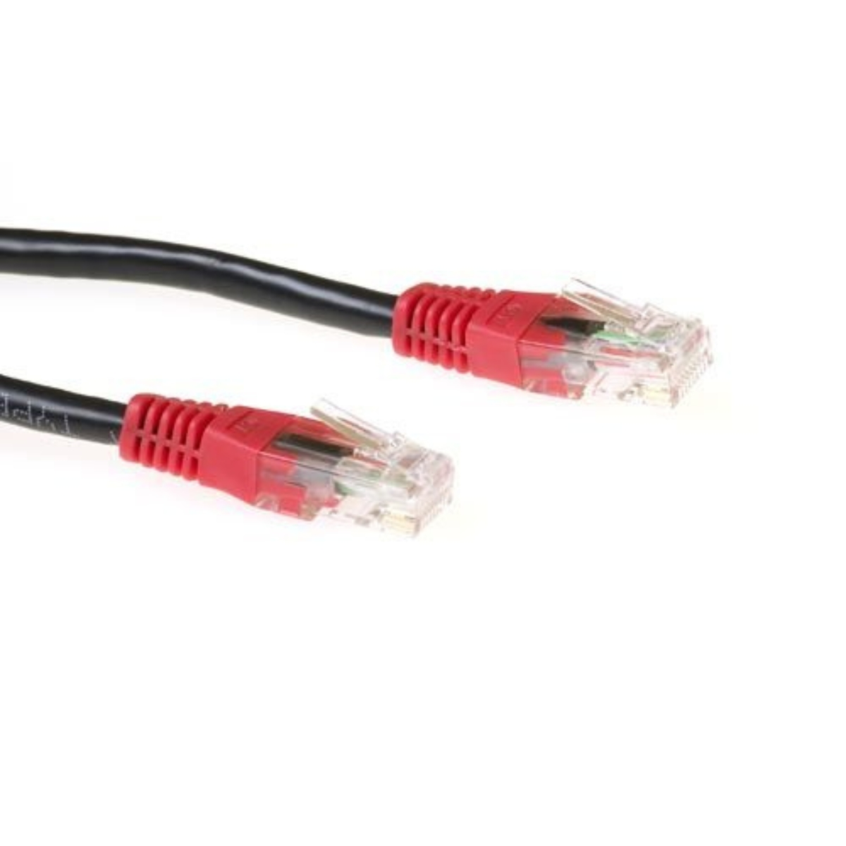 Zwei Ethernet-Kabel mit roten Köpfen und transparenten Steckern auf weißem Hintergrund.