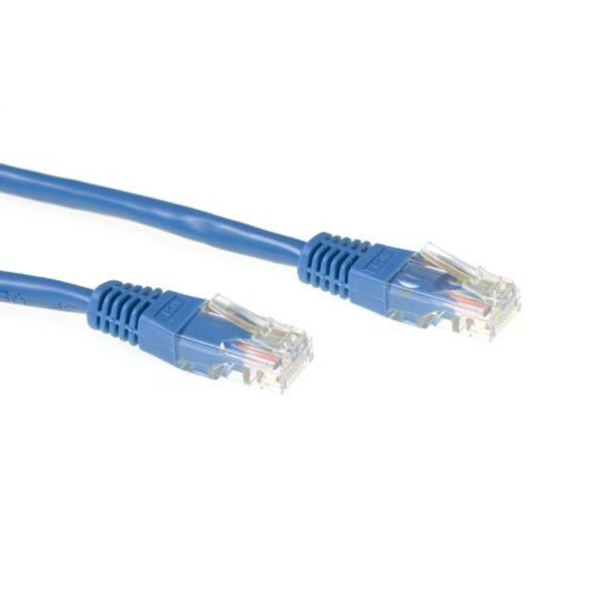 Deux câbles réseau bleus avec connecteurs RJ45, sur fond blanc.