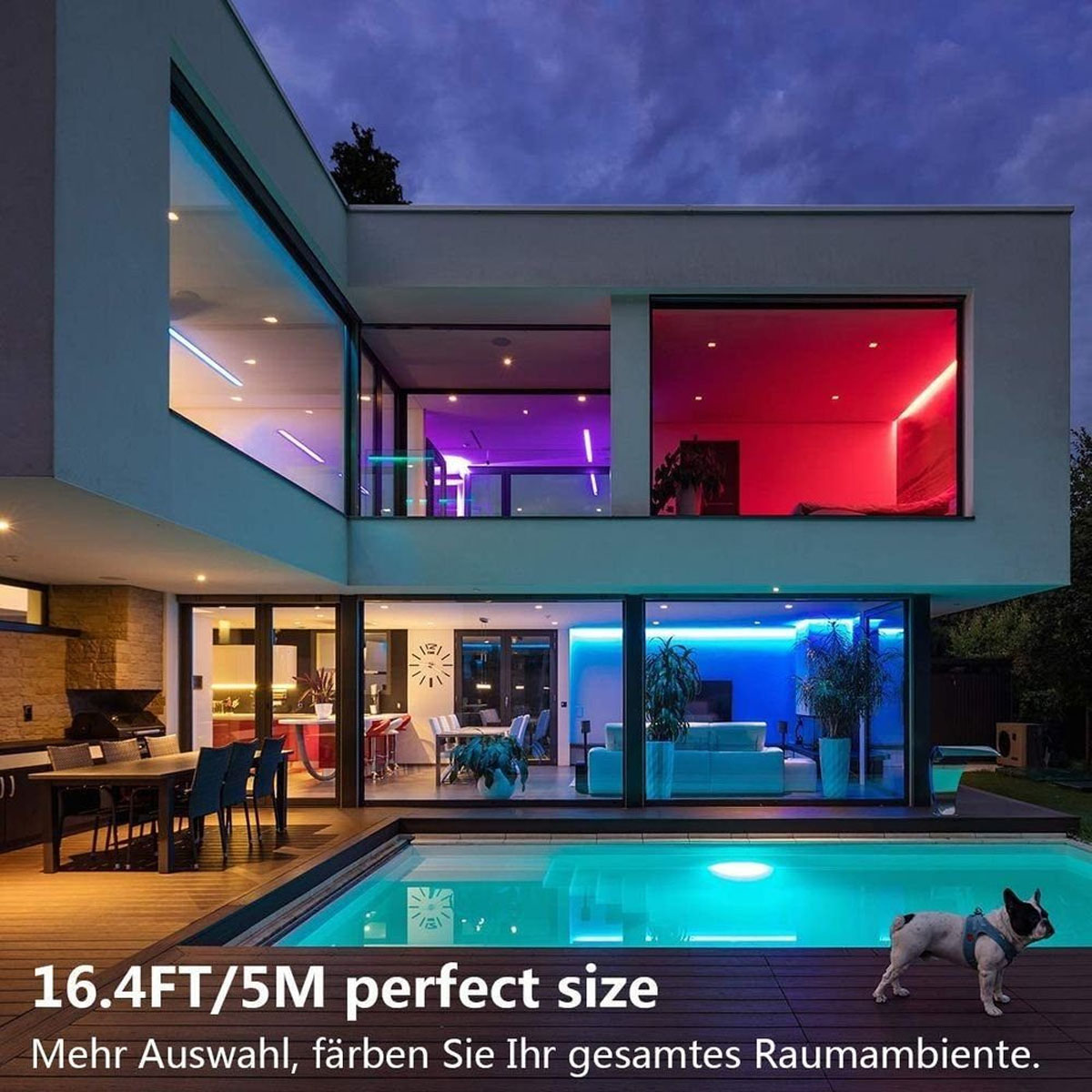 Modernes Haus-Außenbereich bei Nacht, mit Pool und bunten Lichtern. Ein Hund vorne.