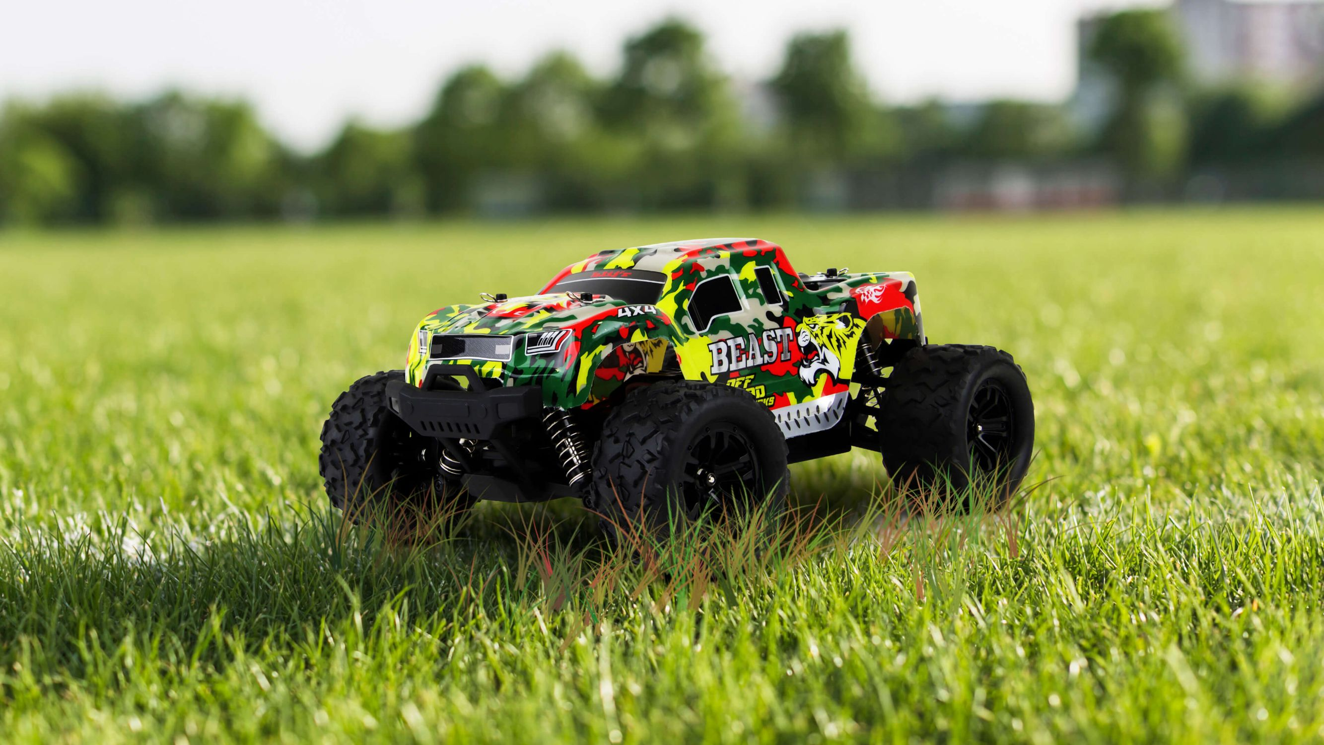 Ein grünes und Camouflage RC-Truck auf einer Wiese. Der Himmel ist blau im Hintergrund.