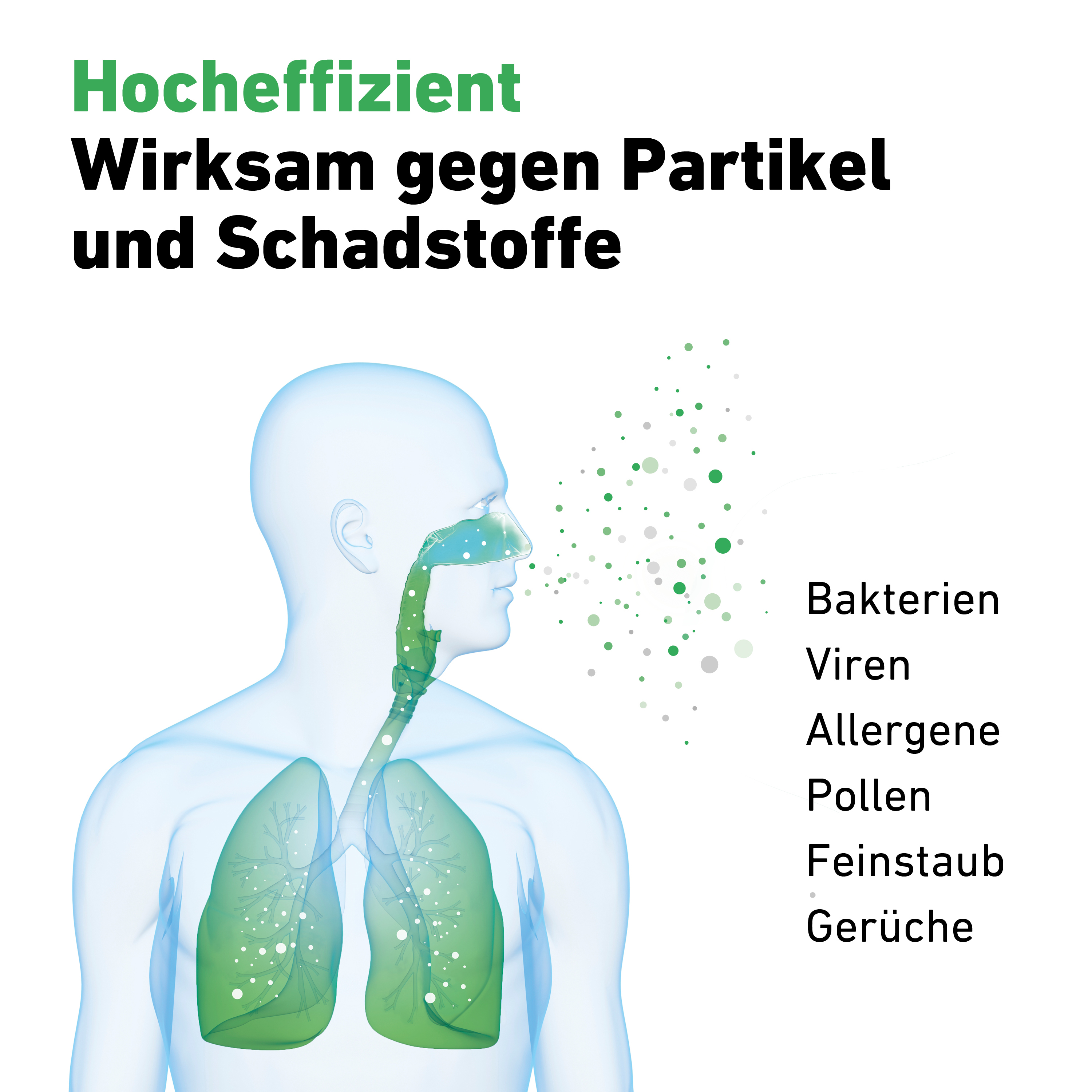 Illustration der Lunge einer Person mit Text über Partikel und Keime. Grün und Weiß sind die Farben.